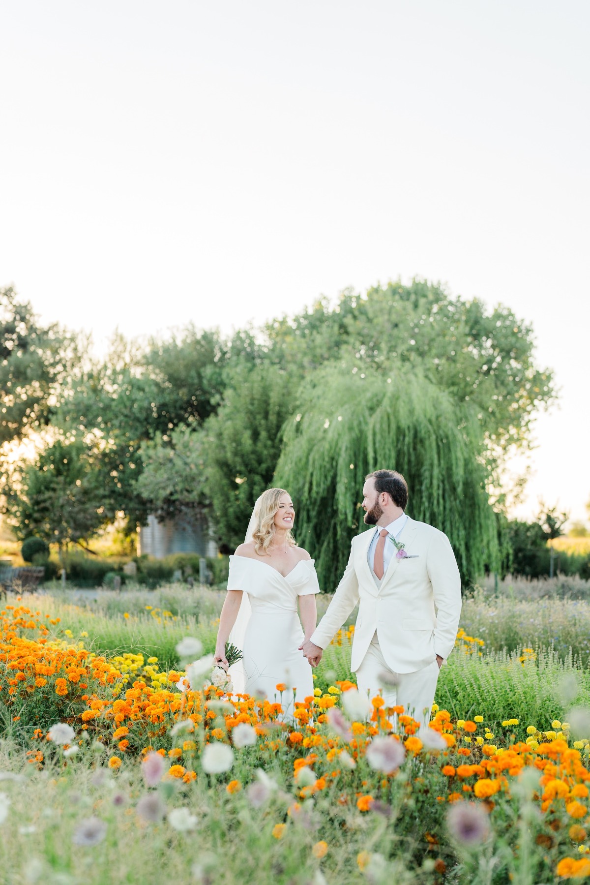 wildflower garden in california