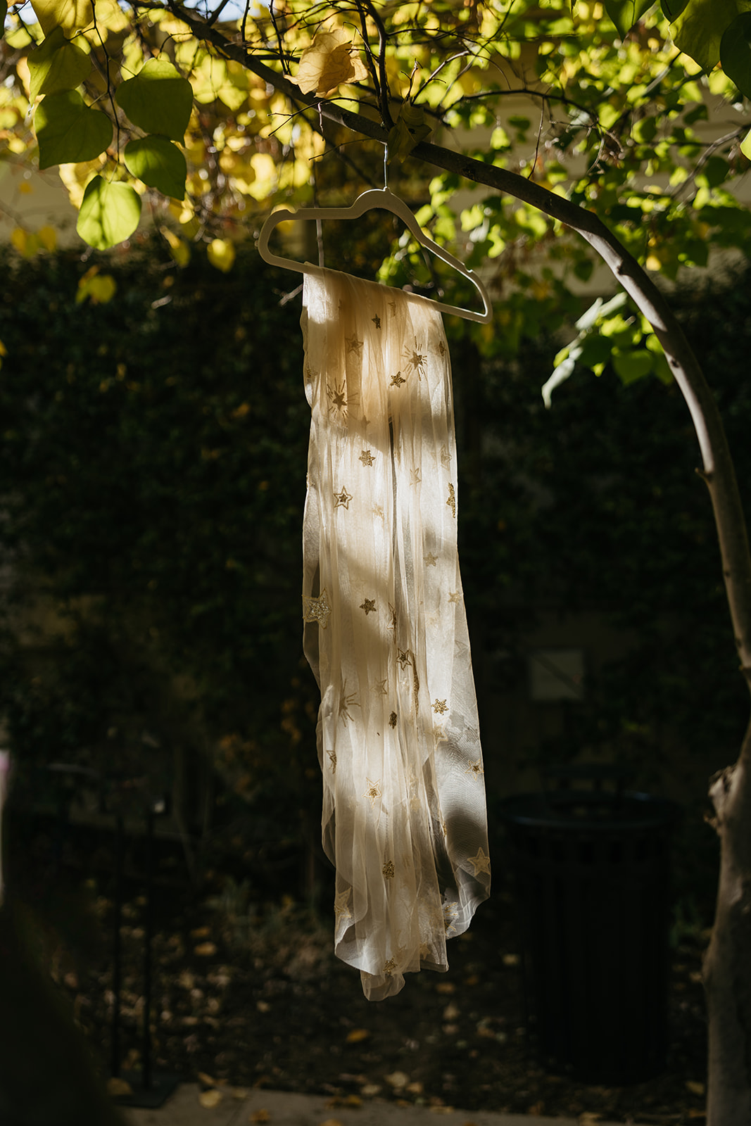 the-lodge-at-malibou-lake-wedding-in-agoura-hills_-image-by-fatima-elreda-photo-46-of-1485