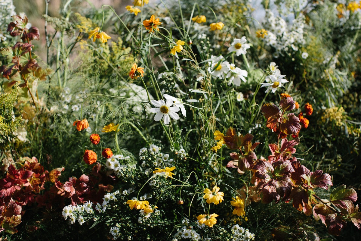 timber-cove-jenner-california-wedding-12
