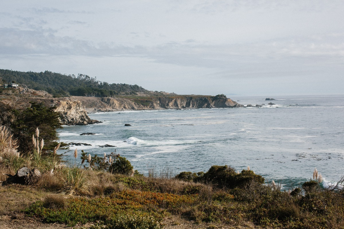 Timber Cove Resort wedding