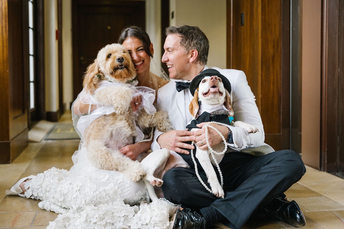 dogs in wedding party