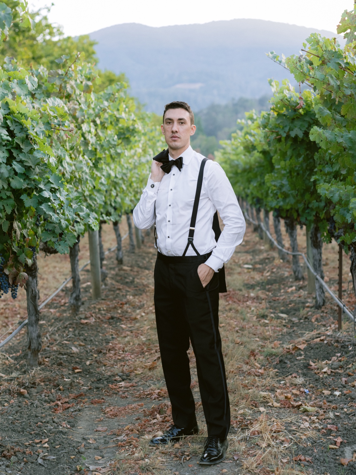 groom vineyard portrait ideas