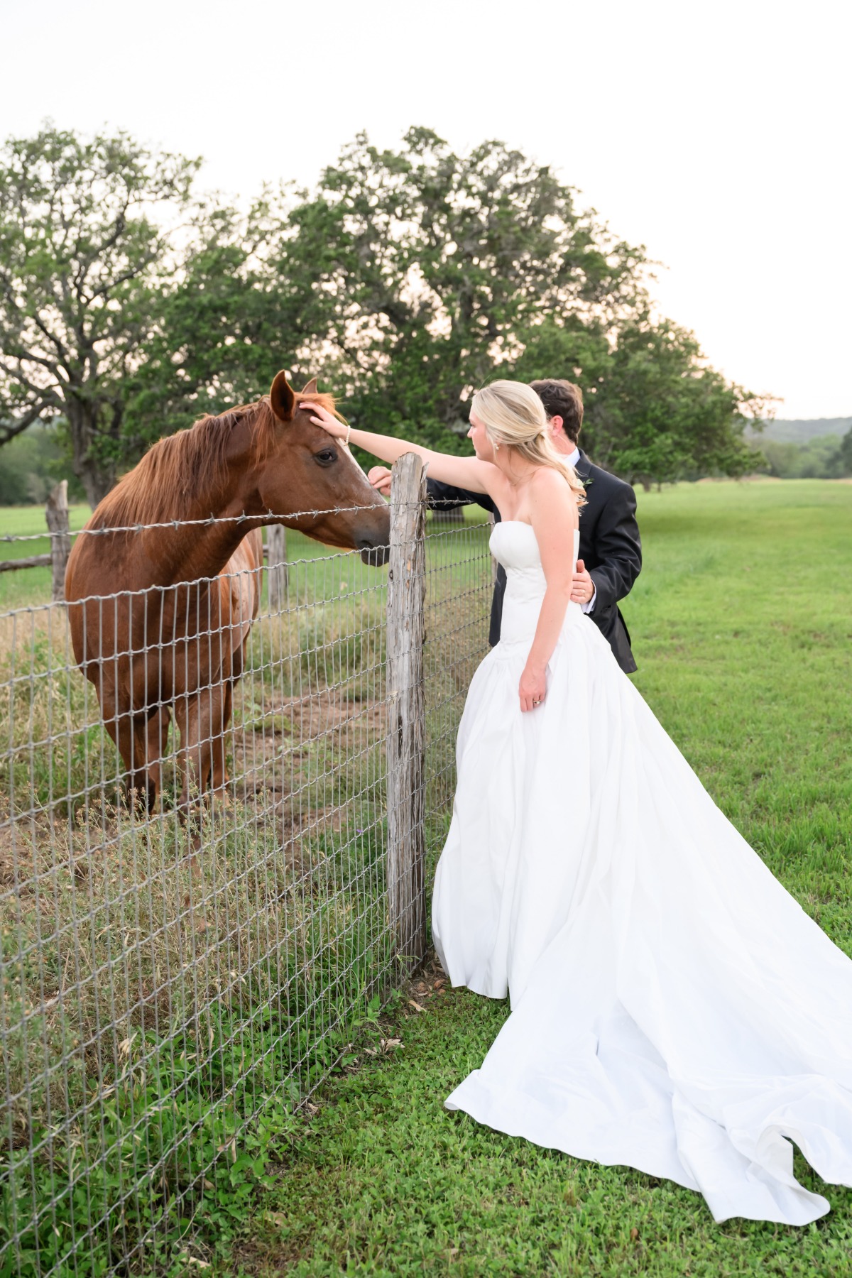 bride and groom with horse