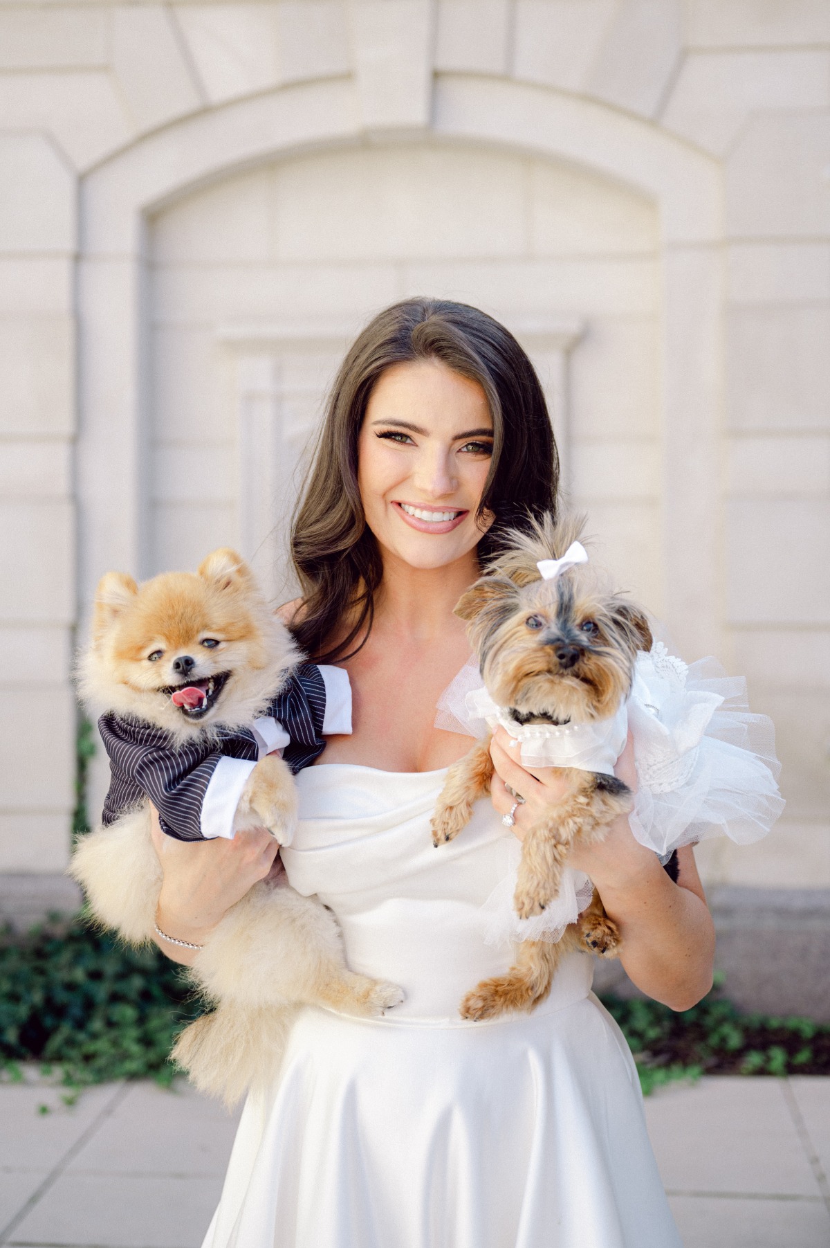 dog outfits for wedding