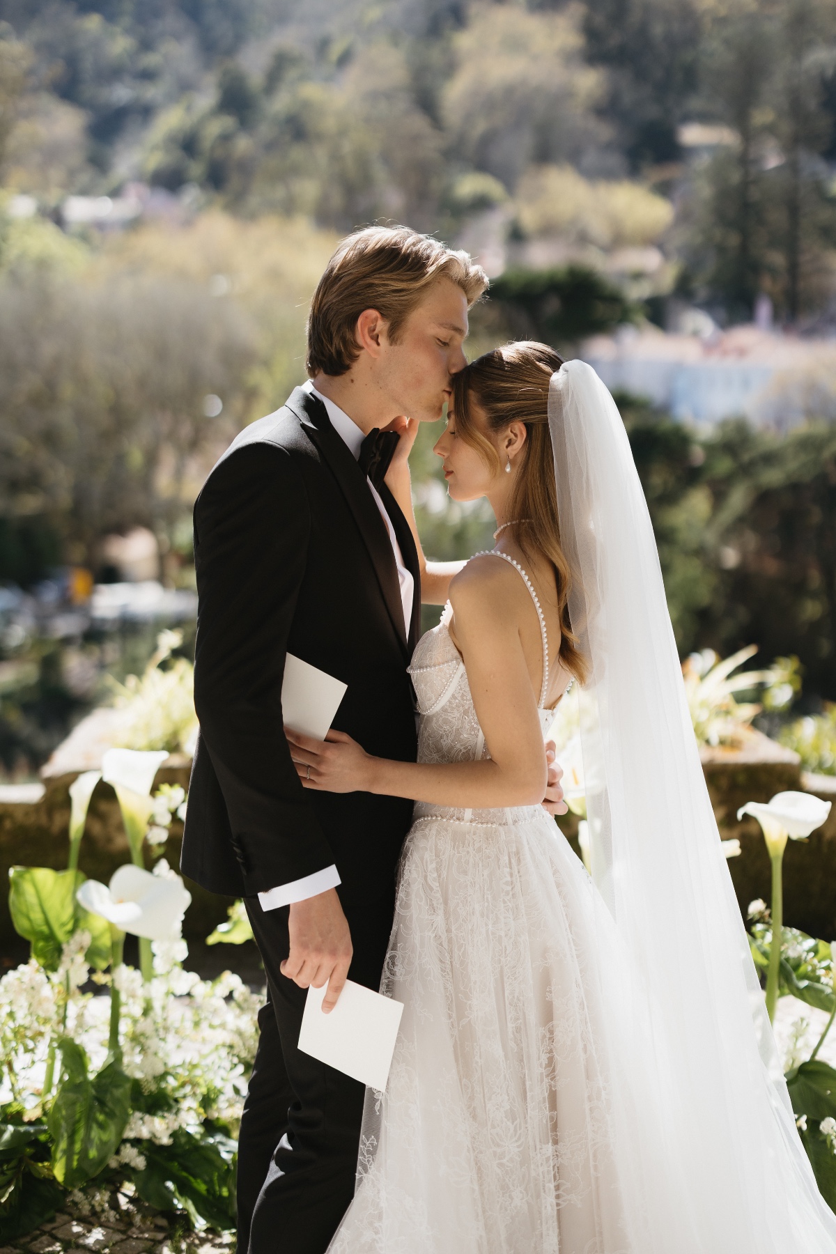 cathedral length veil