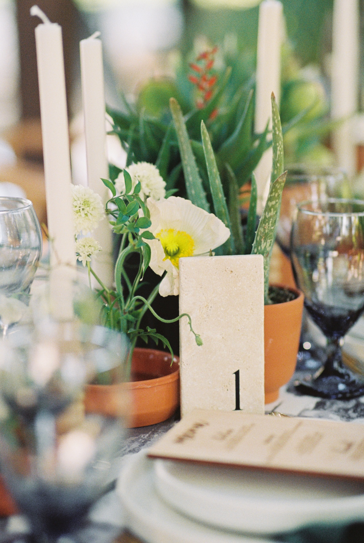 cactus wedding decor