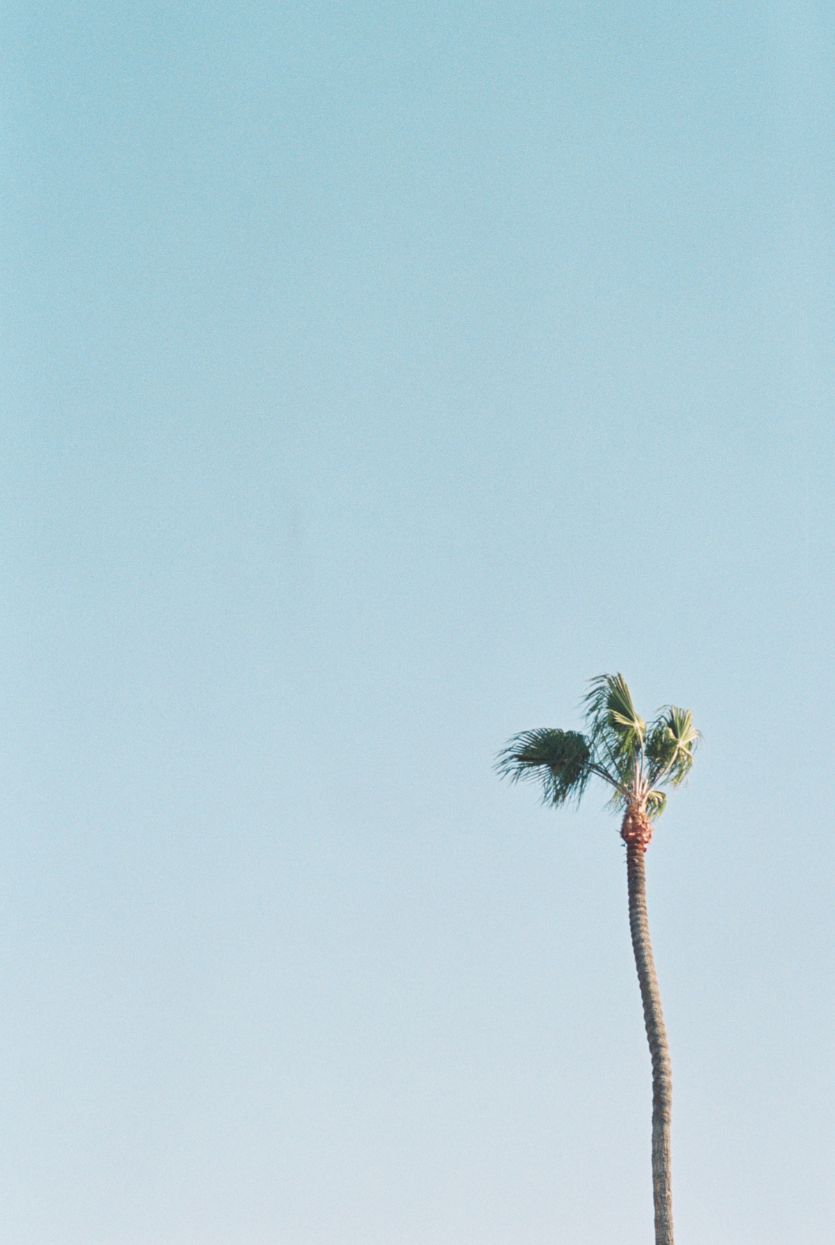 kelliesfaves-141