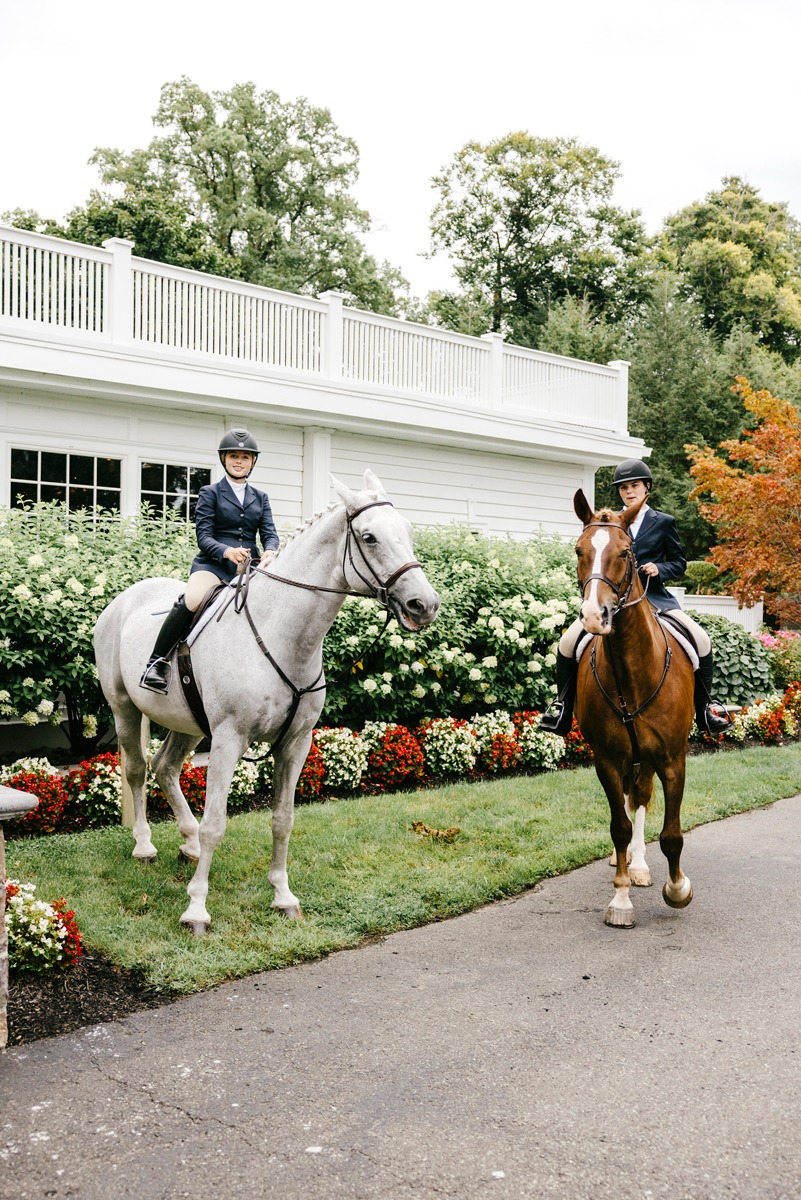 wedding day horses
