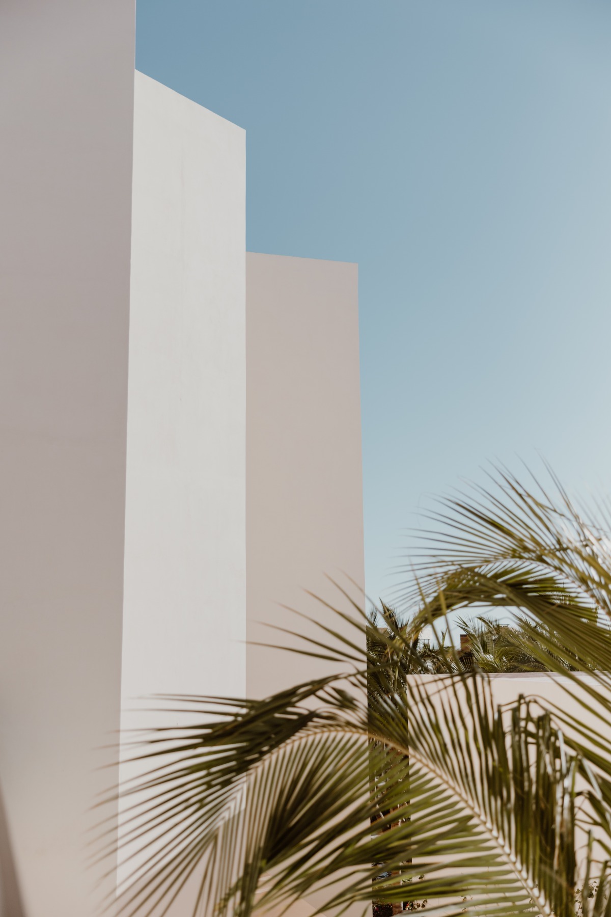 modern wedding venue in los cabos