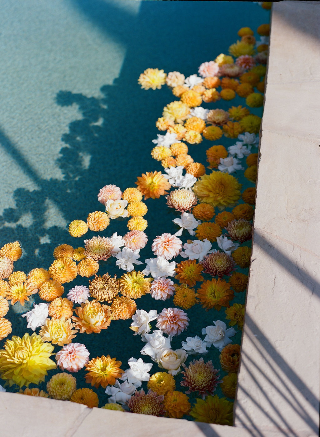 floating pool flowers