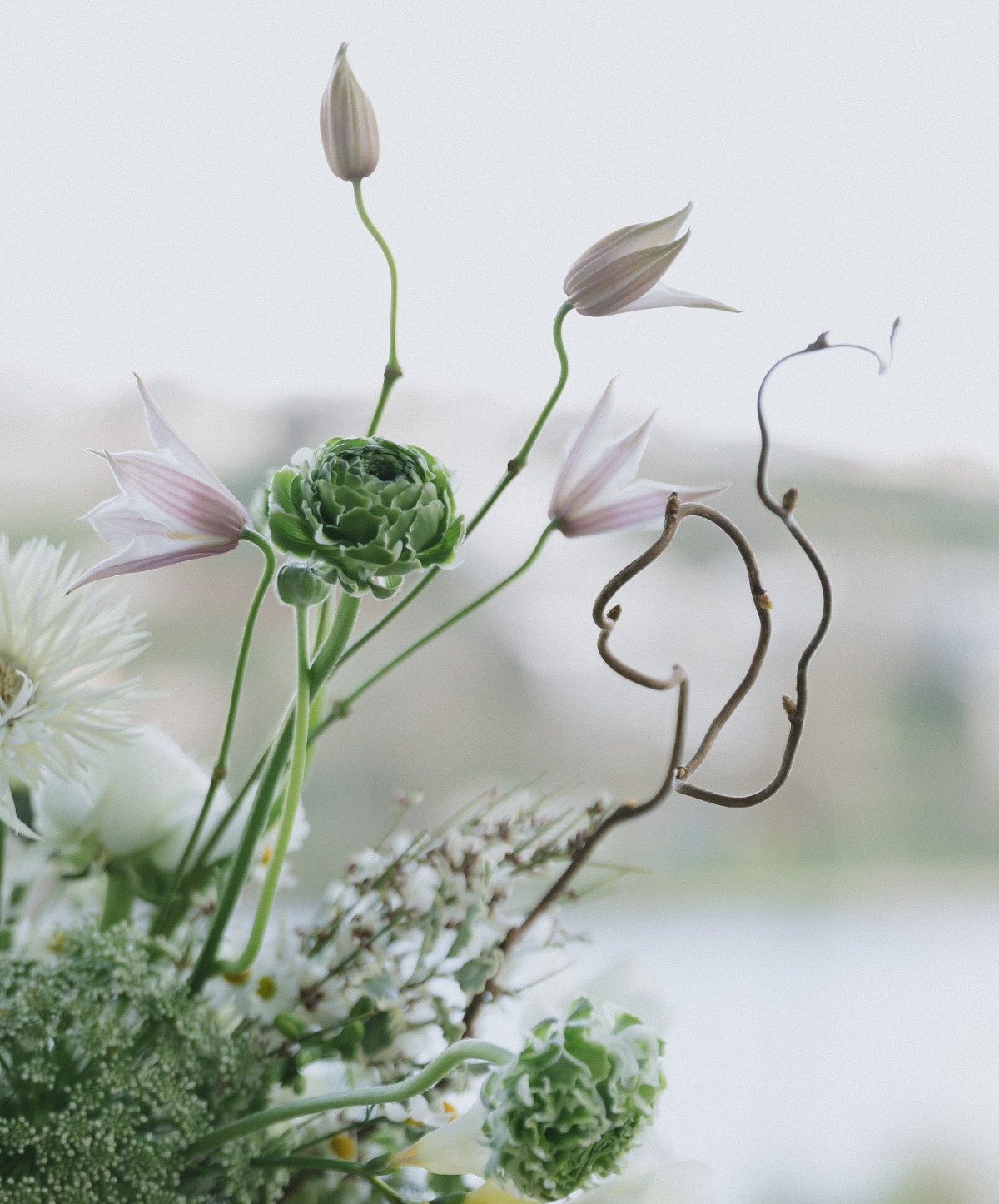soniavphoto_olive-and-oath78