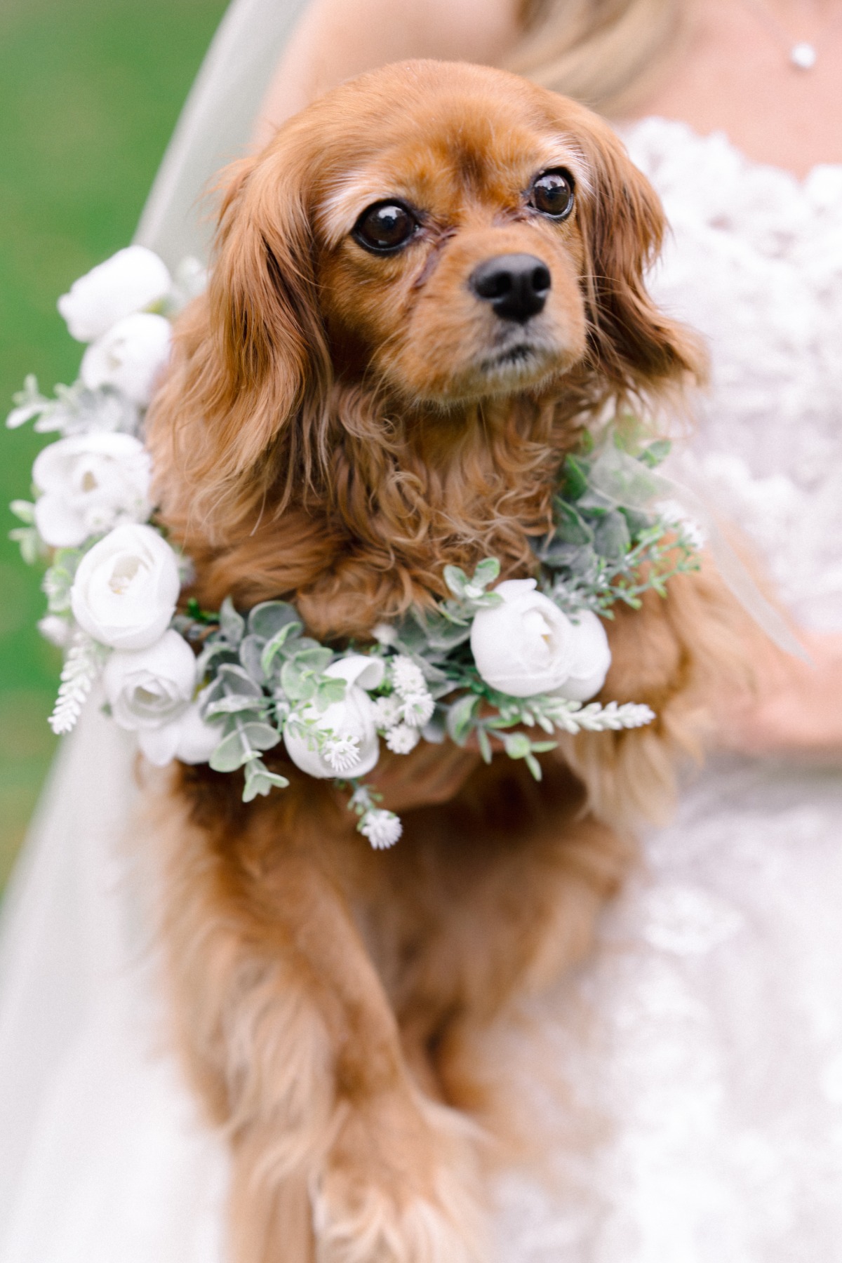 adorable dog flower girl floral necklace