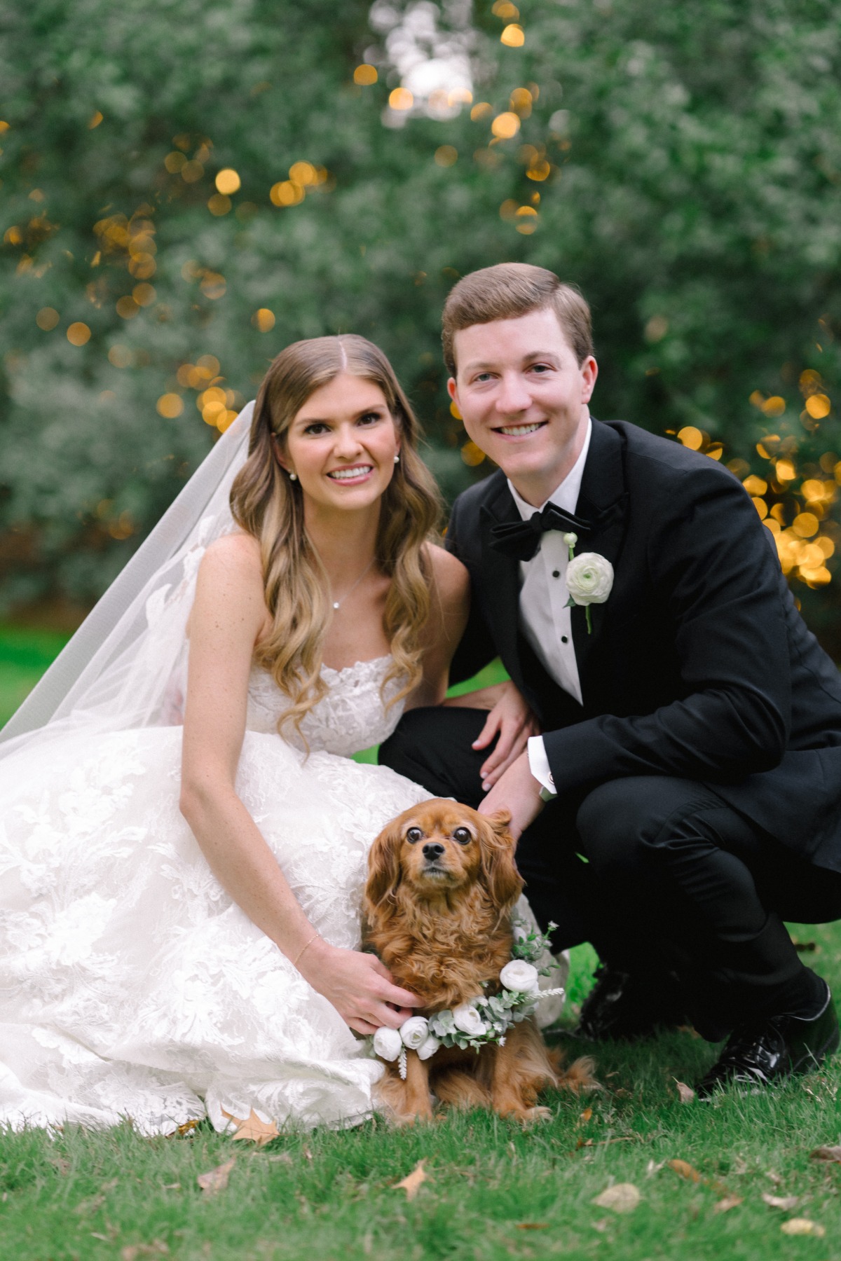 flower girl dog