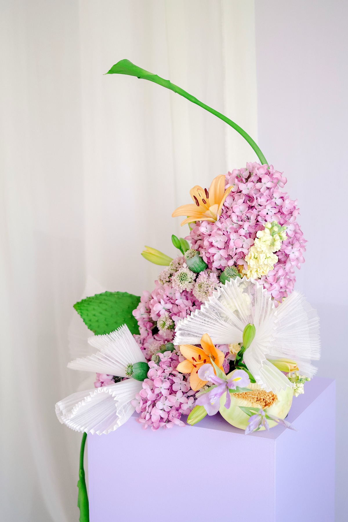 purple and yellow arrangement