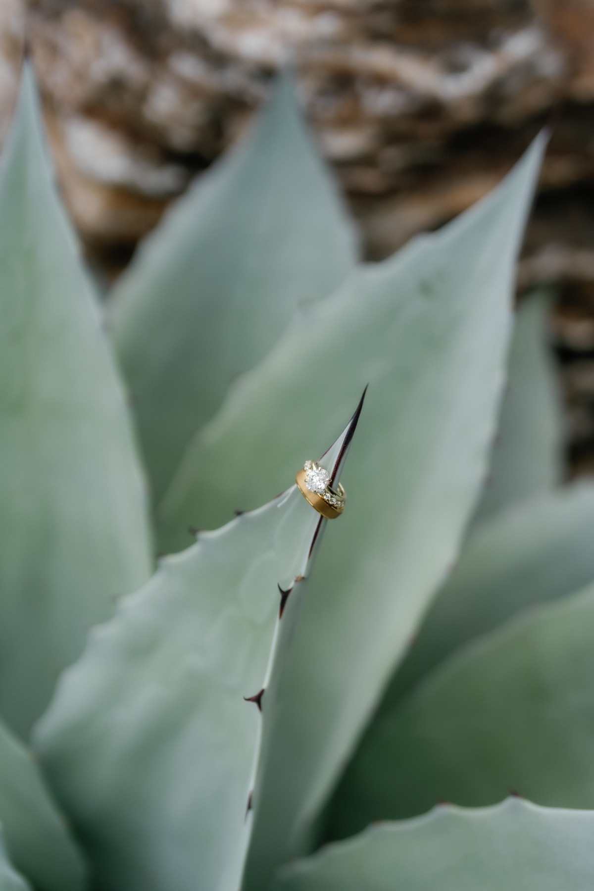 houston-botanic-garden-ambrosia-and-nectar-events-sonia-alexandria-photography-154