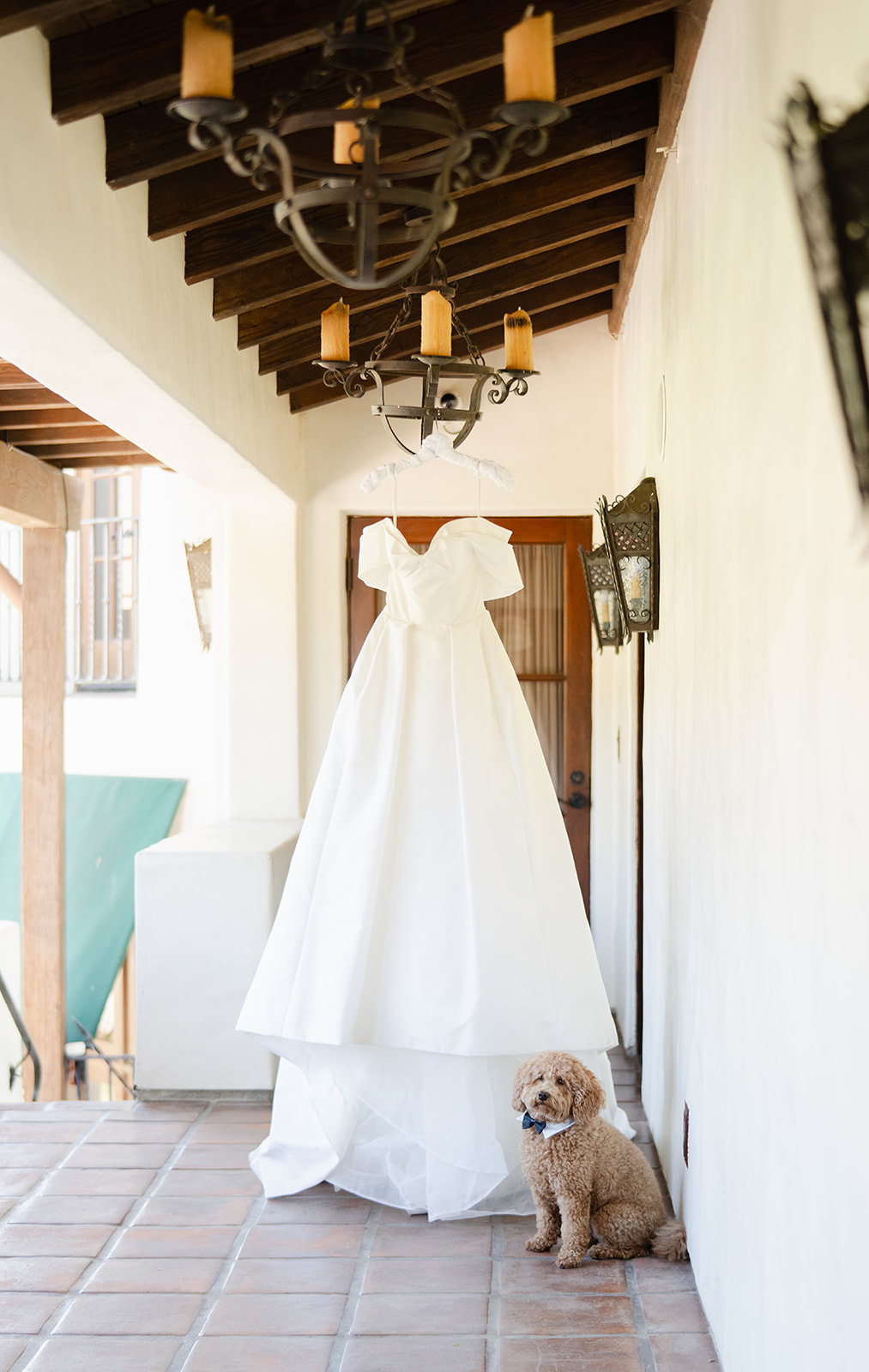wedding dog bow tie