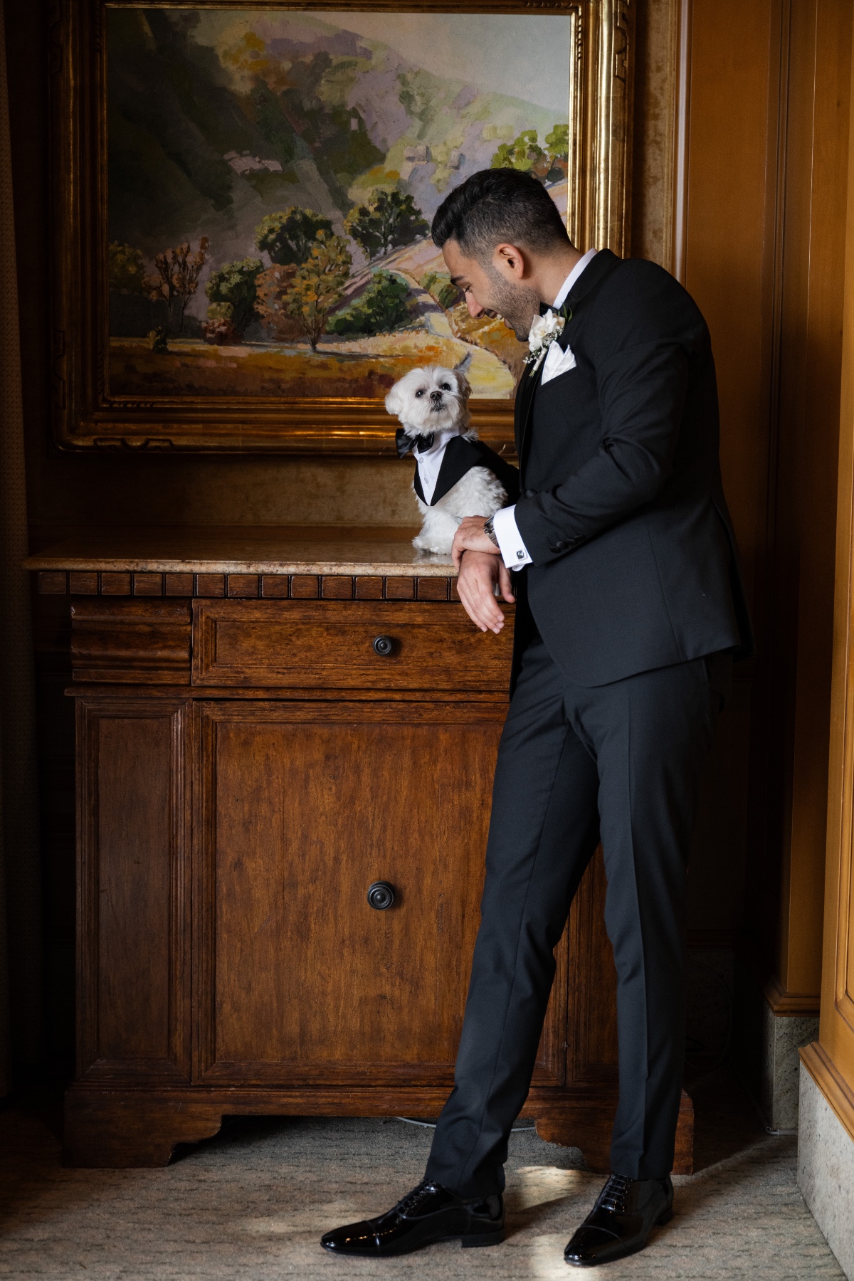 dog tuxedo