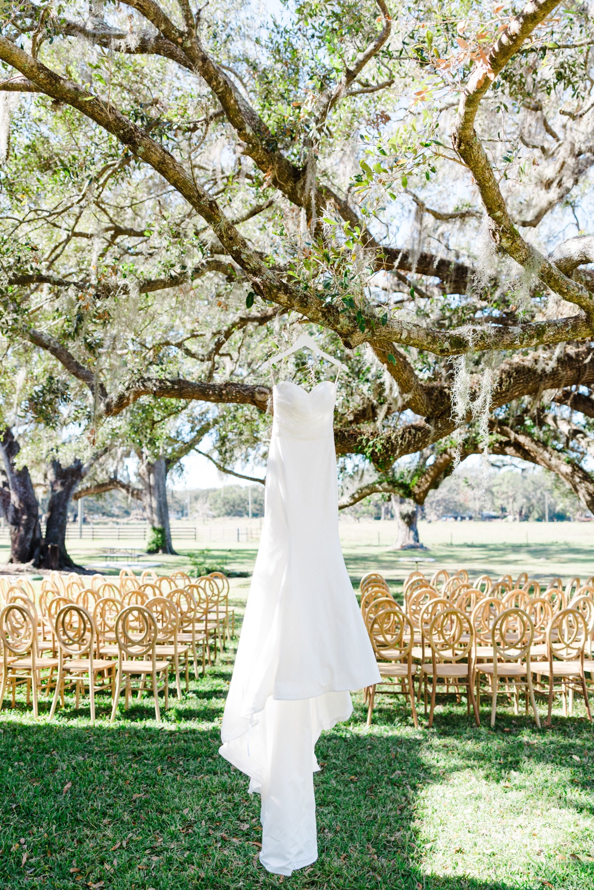 kalea-and-sam-colnial-at-sunset-wedding-san-antonio-tampa-fl-expedition-joy-photography-1