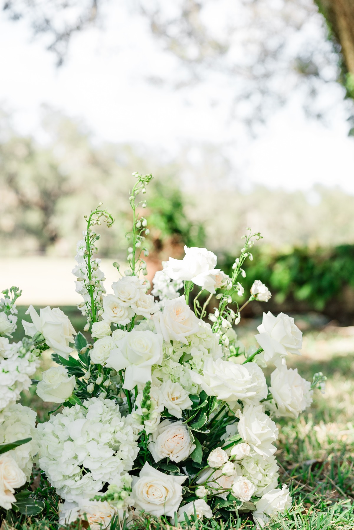 kalea-and-sam-colnial-at-sunset-wedding-san-antonio-tampa-fl-expedition-joy-photography-37