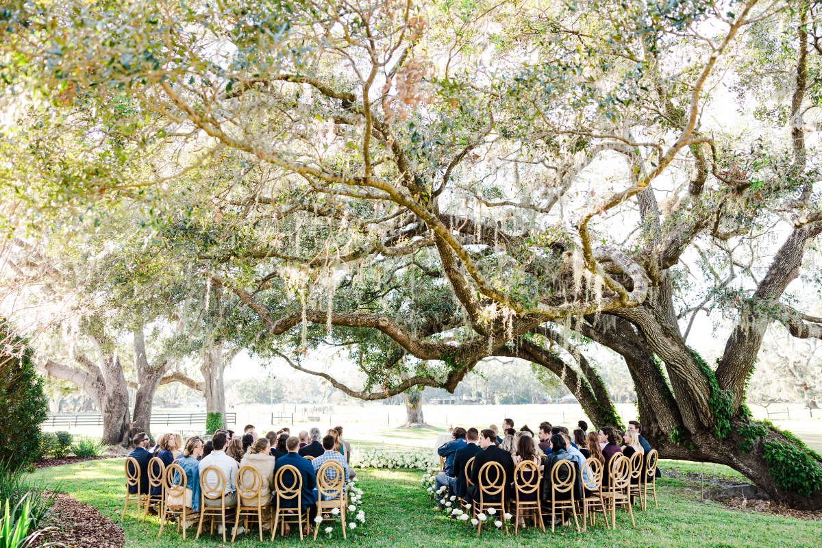 kalea-and-sam-colnial-at-sunset-wedding-san-antonio-tampa-fl-expedition-joy-photography-39