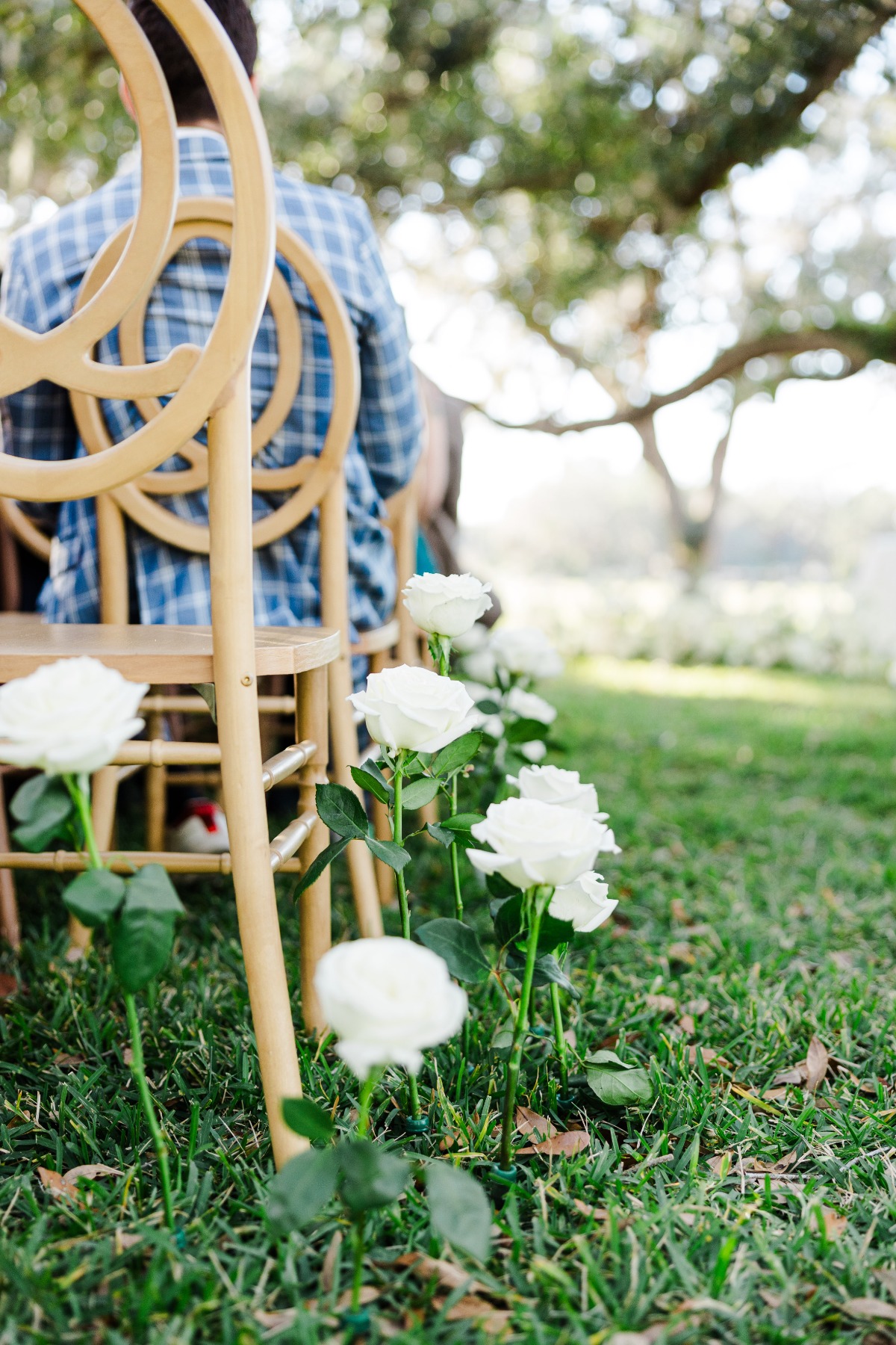 white rose single stem aisle