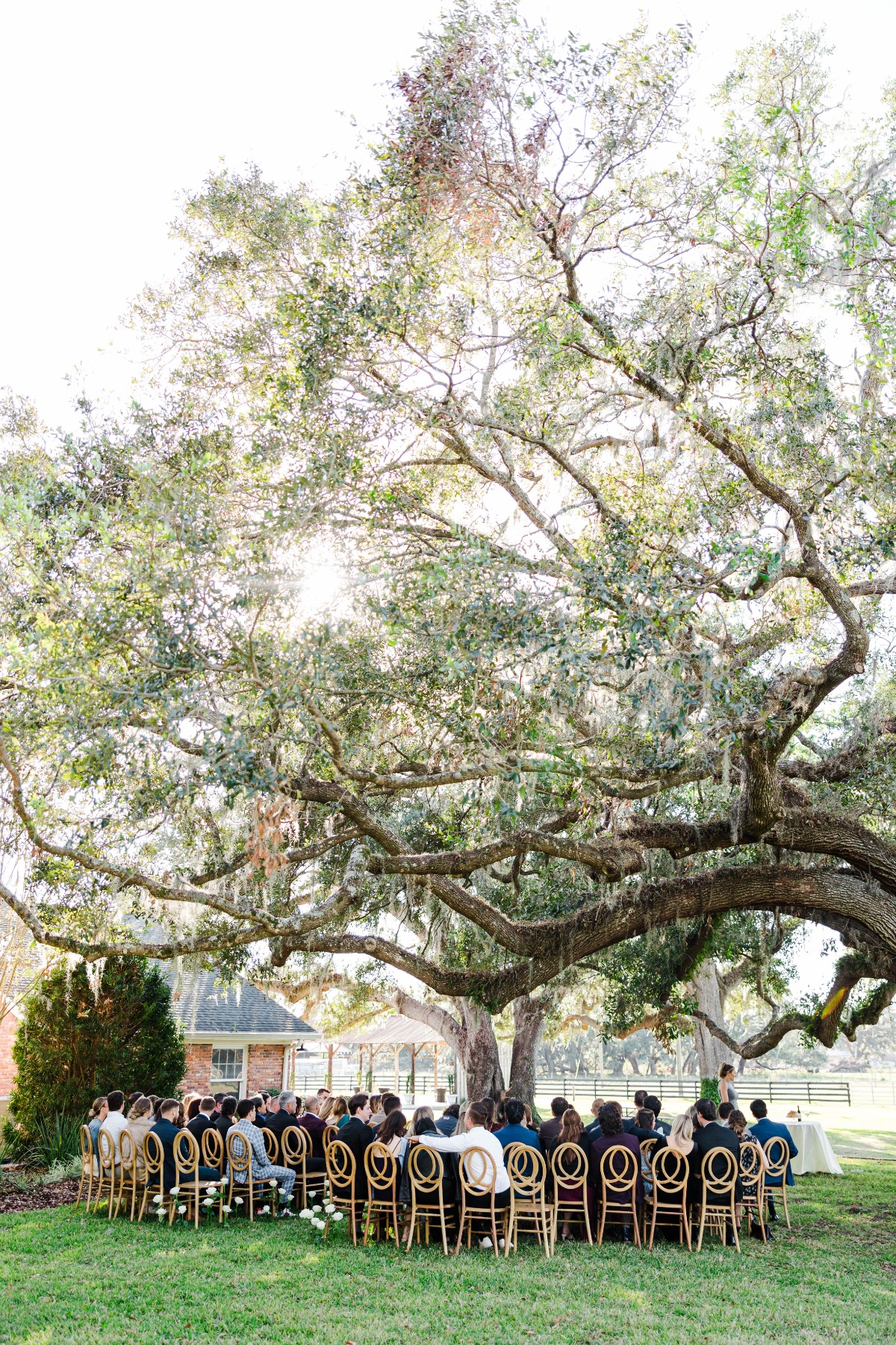 kalea-and-sam-colnial-at-sunset-wedding-san-antonio-tampa-fl-expedition-joy-photography-56