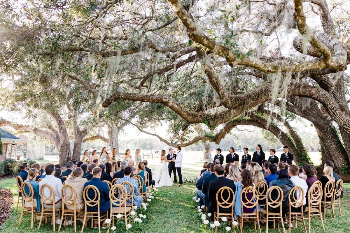 wedding ceremony under spanish oaks