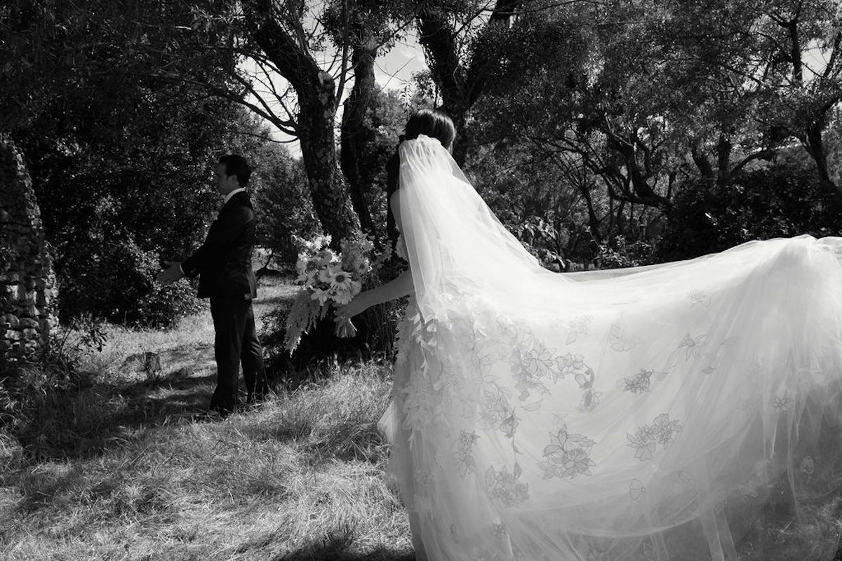 first look in the woods