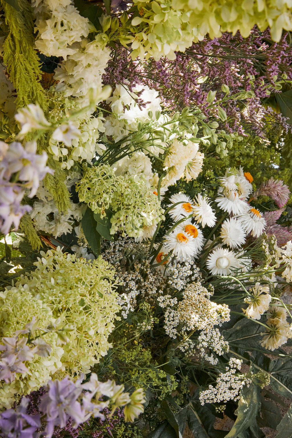 french wildflowers for wedding