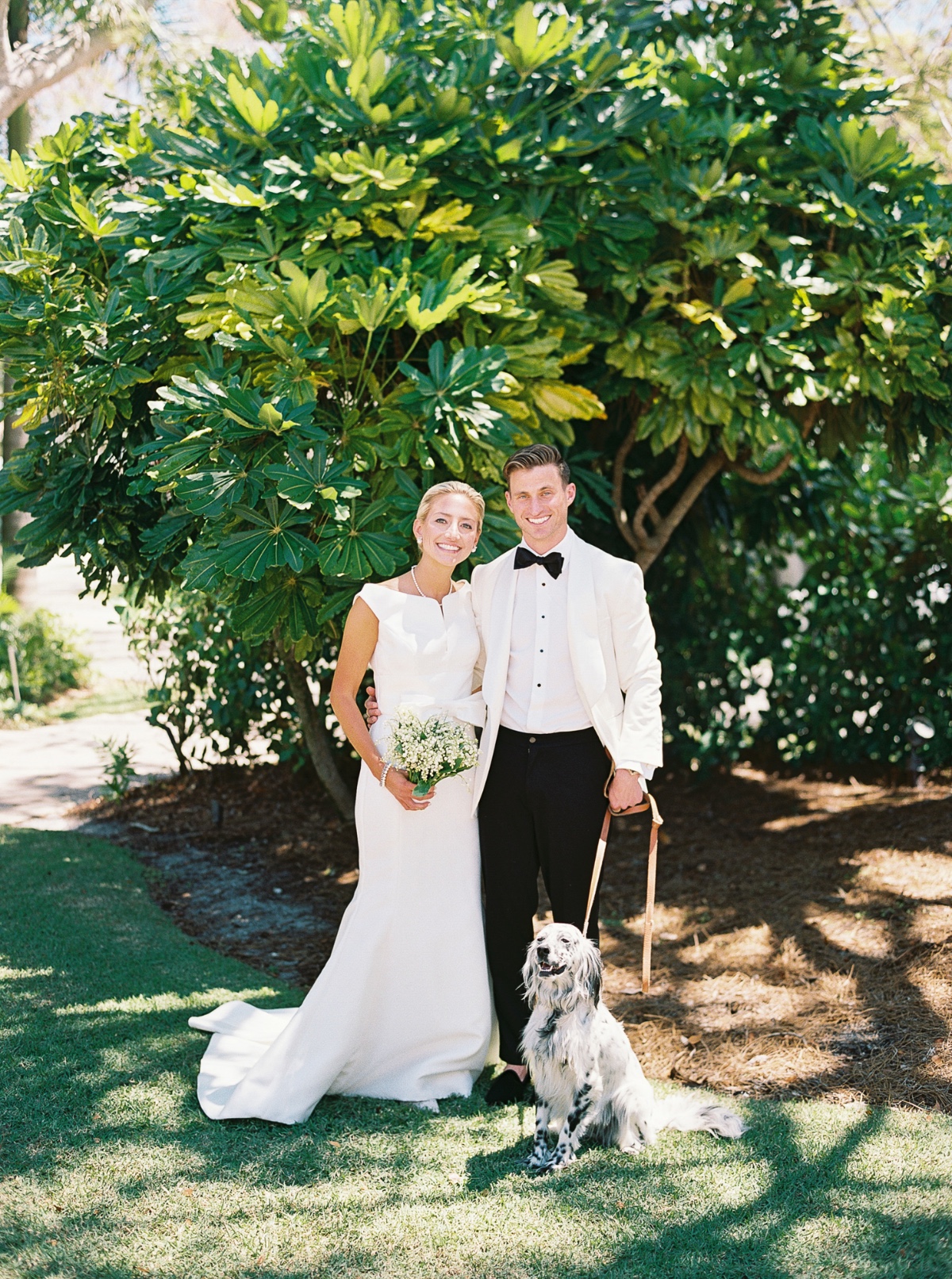 dog in wedding ceremony