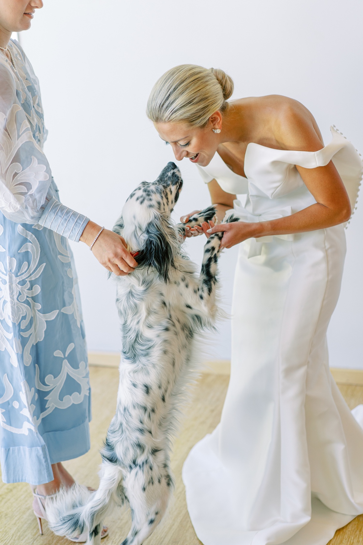including dog at wedding