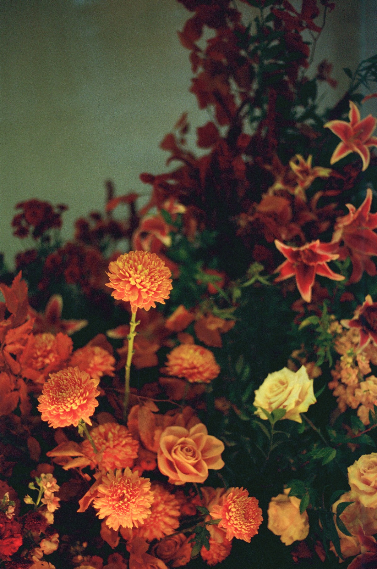 moody fall florals