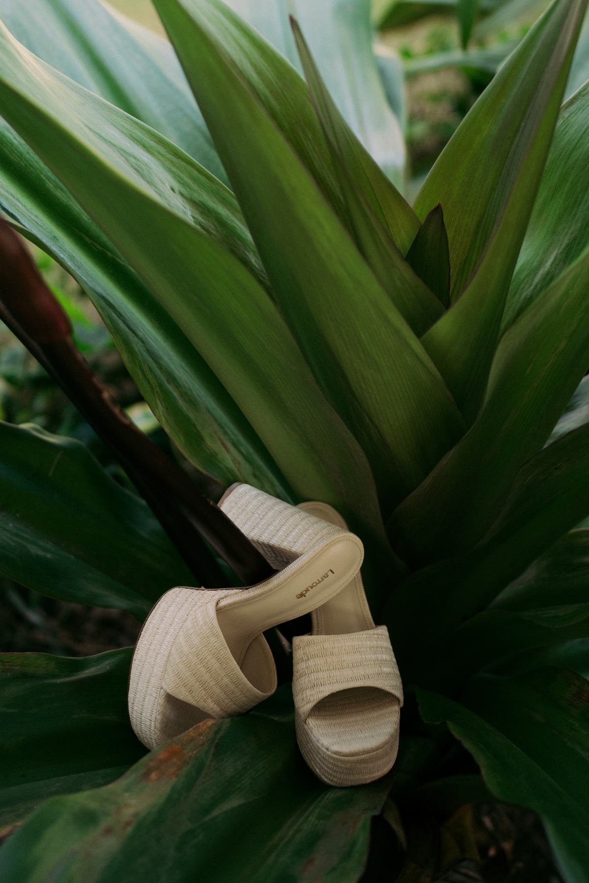 anji-dylan-partial-valeria-bross-030