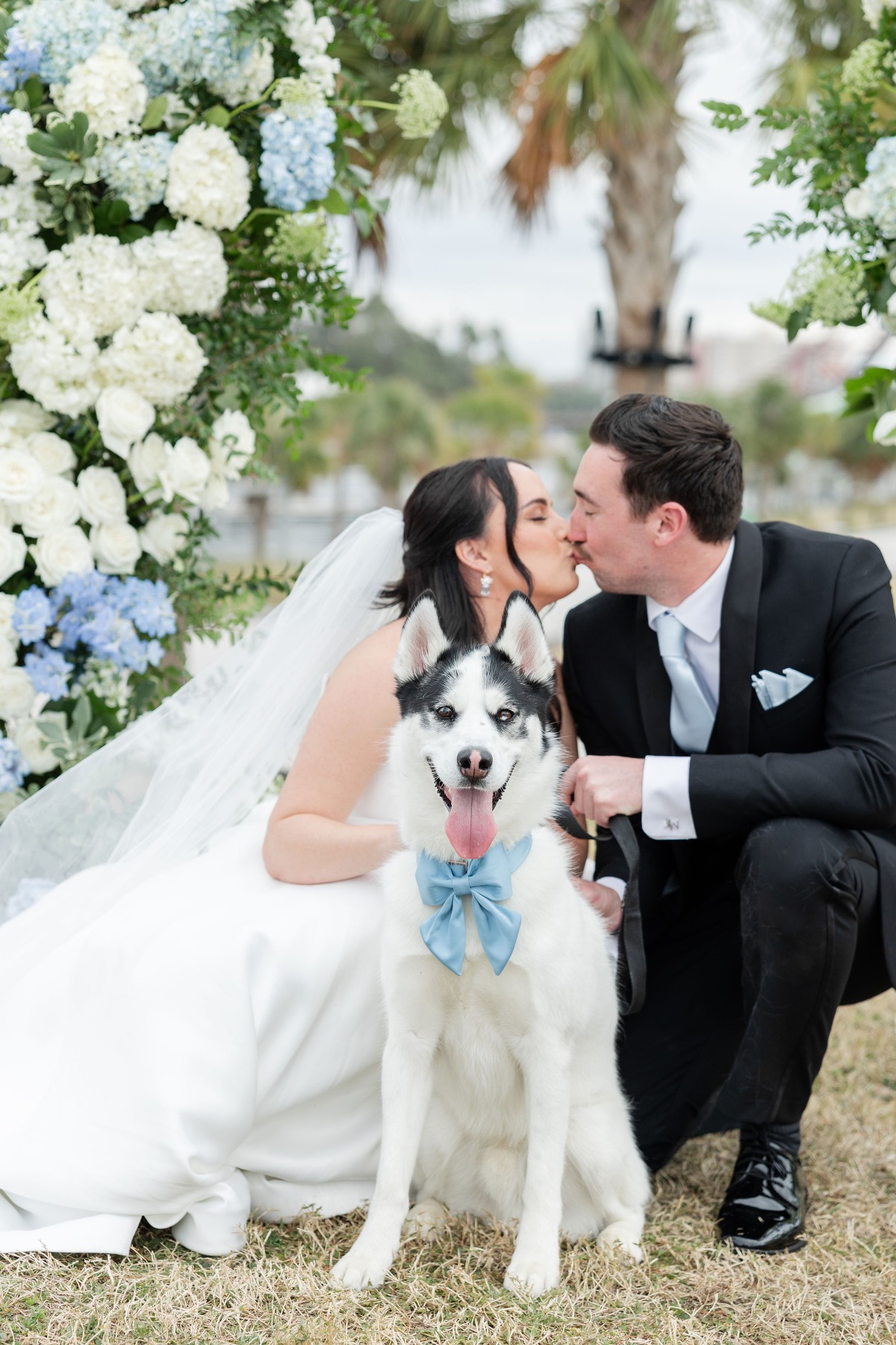 blue bow for dog at wedding