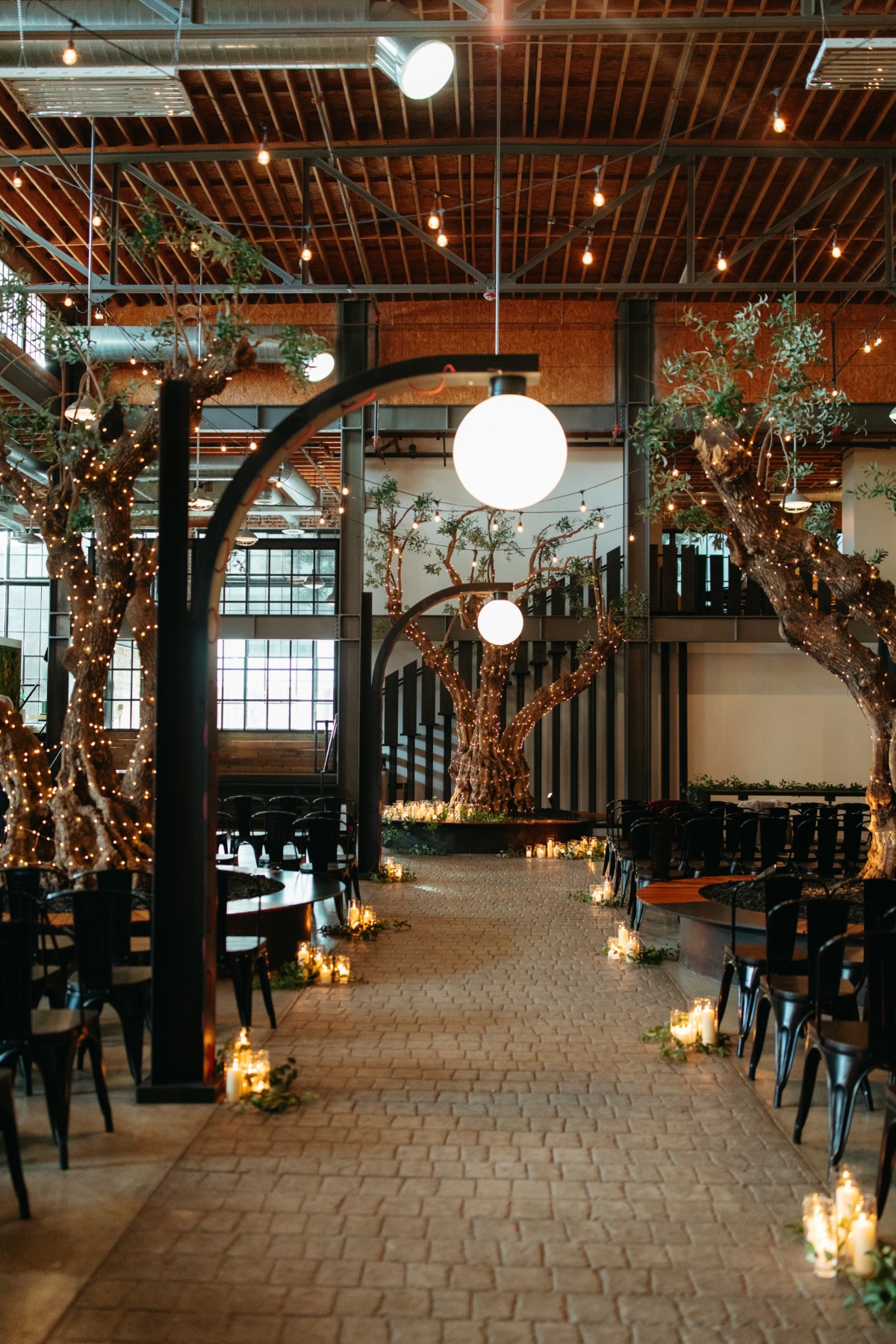 string light covered trees