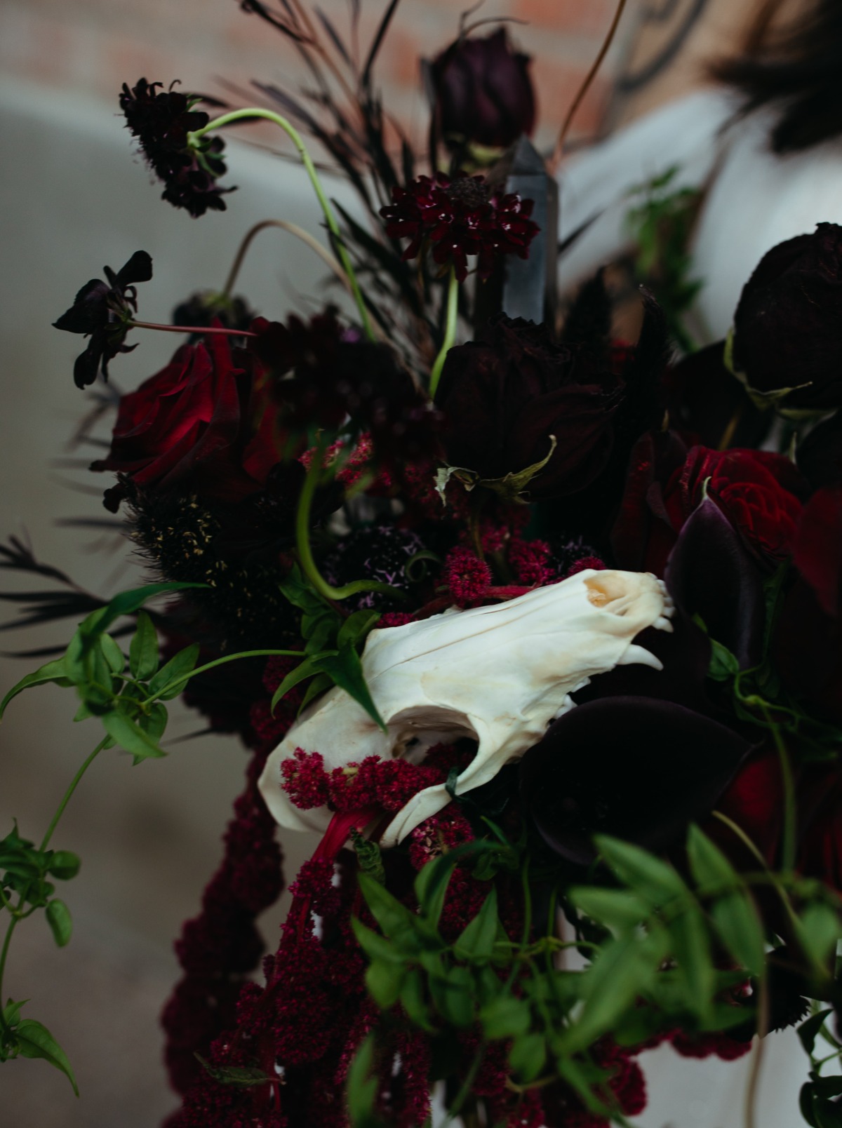 cat_sam_wedding-597