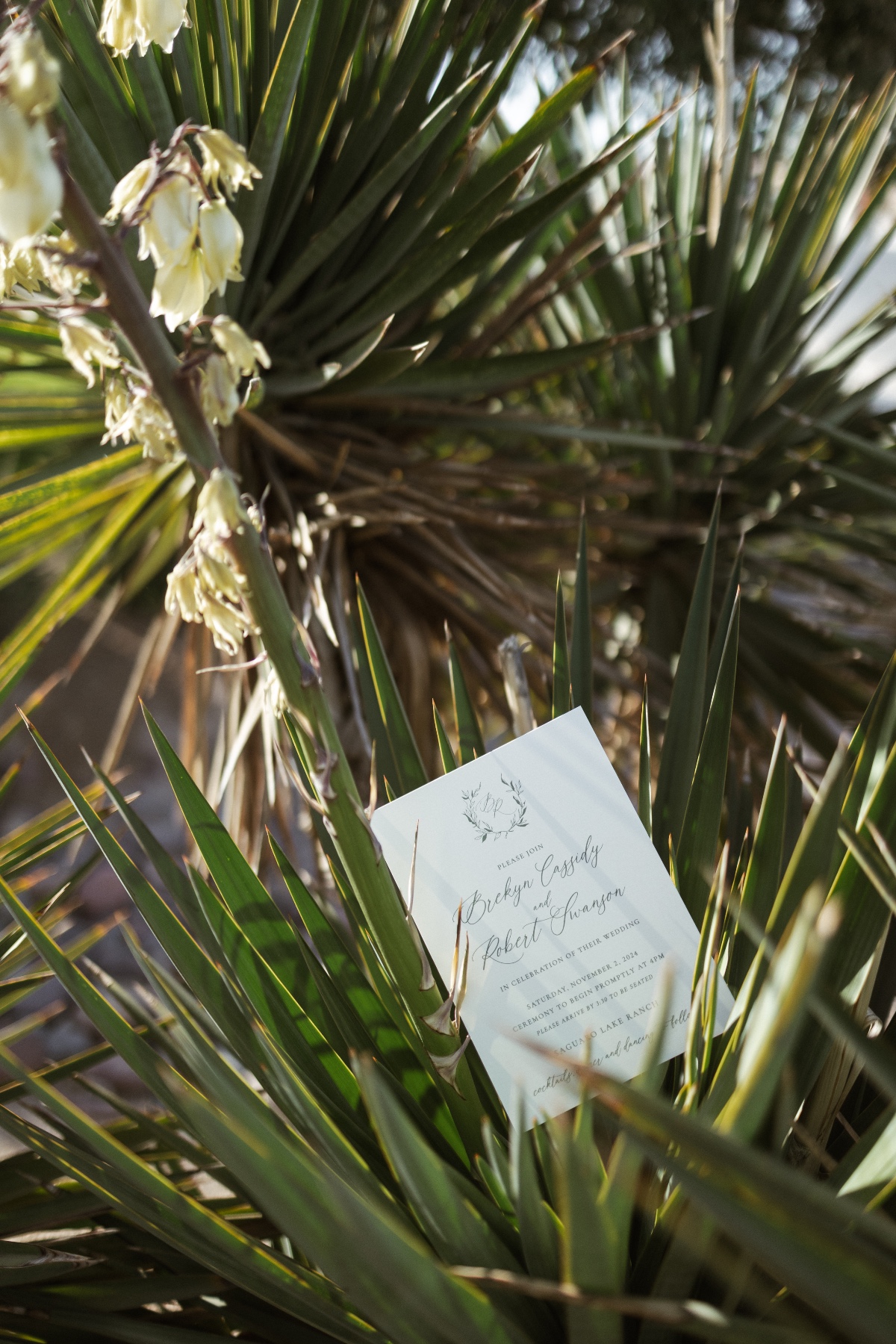 desert wedding inspo