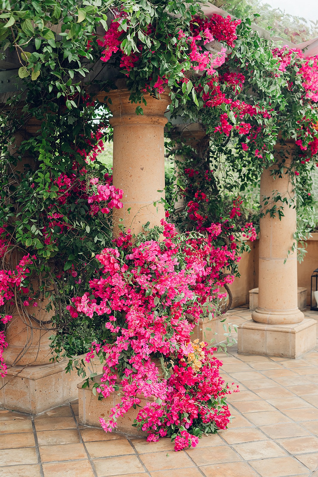 bougainvillea wedding flowers
