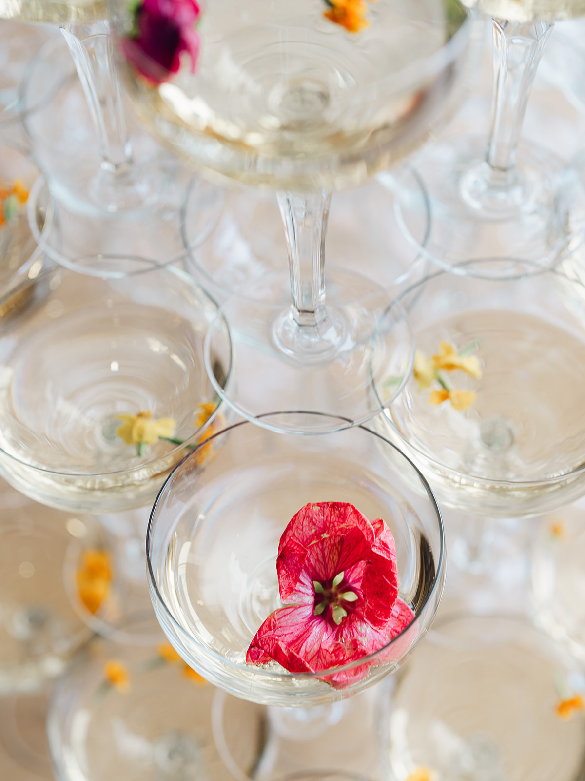 edible flowers for wedding drinks