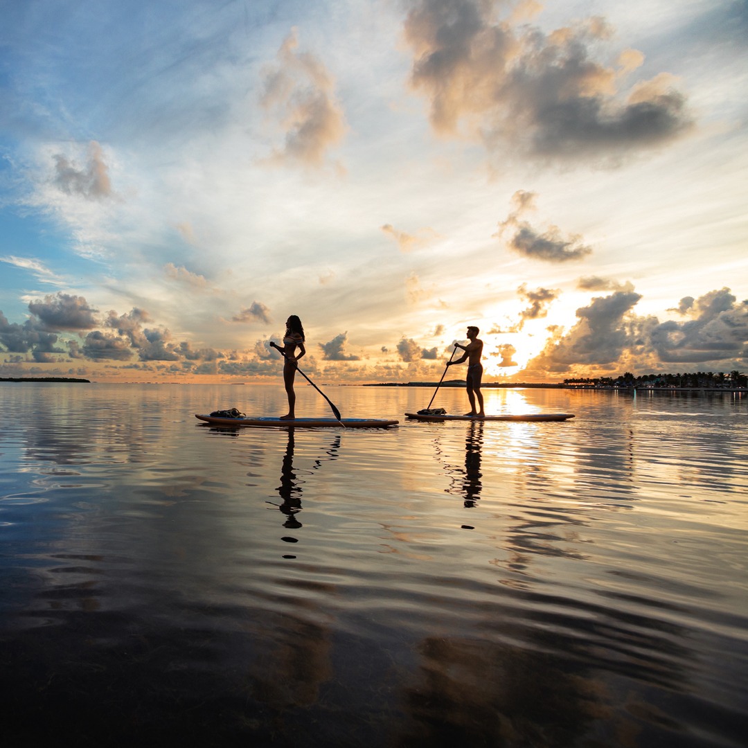 couple sunset time paddle boarding