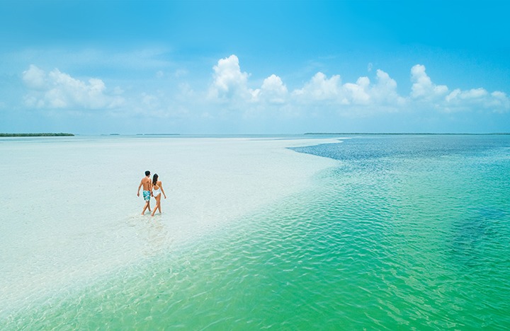 overhead shot of couple walking on secluded beach