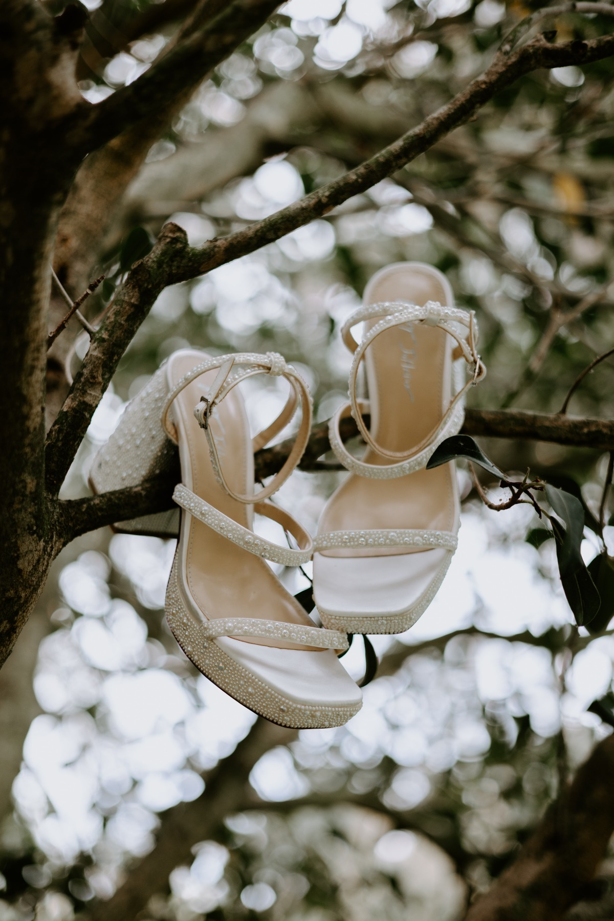 cute bridal shoe photo ideas