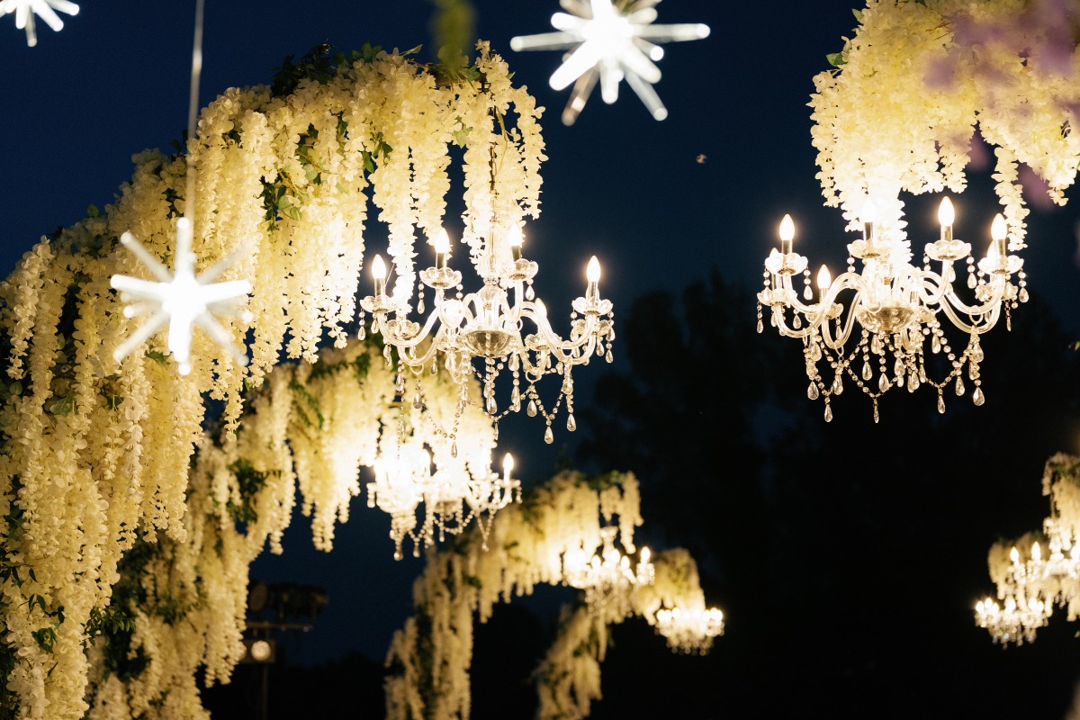 hanging wisteria and star lights