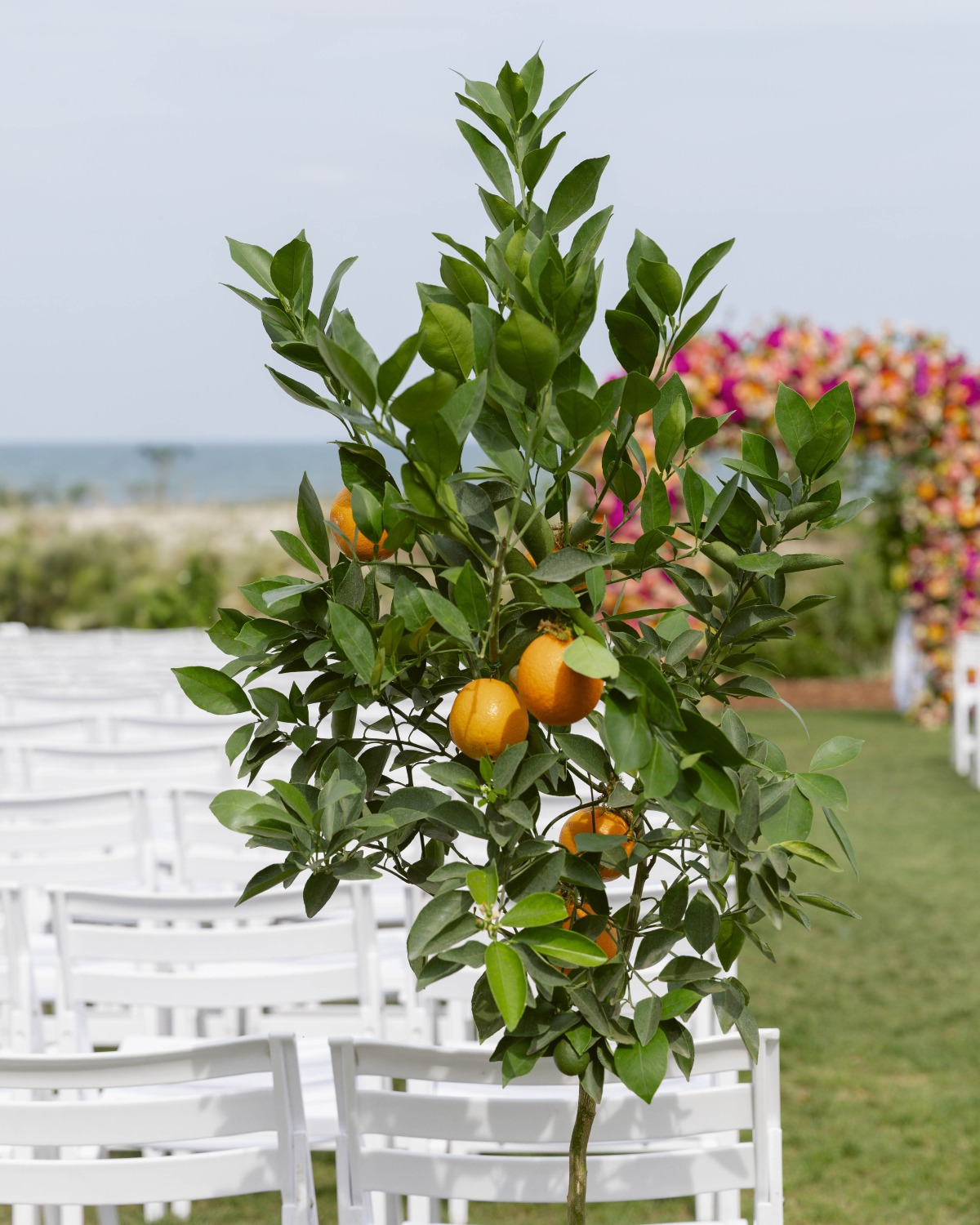 orange trees as wedding decor