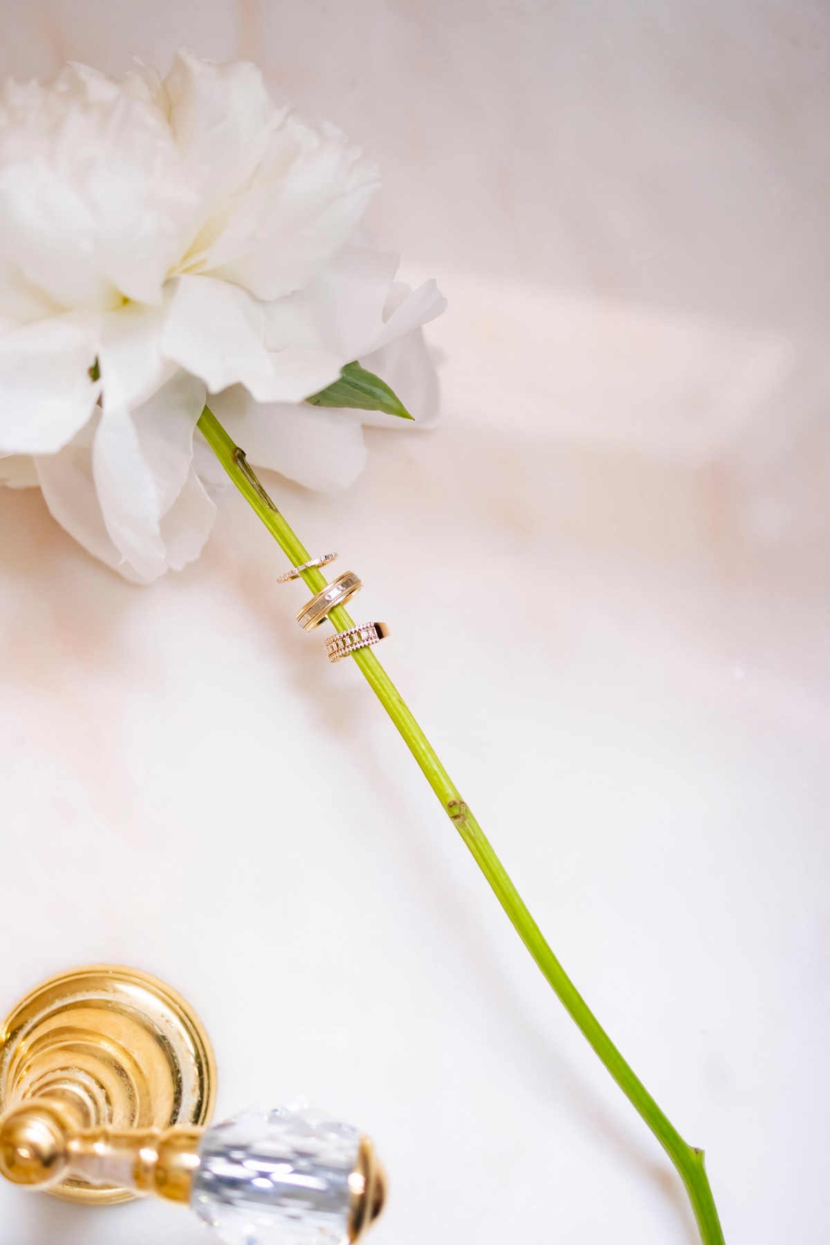 scp-thekings-wedding-details057