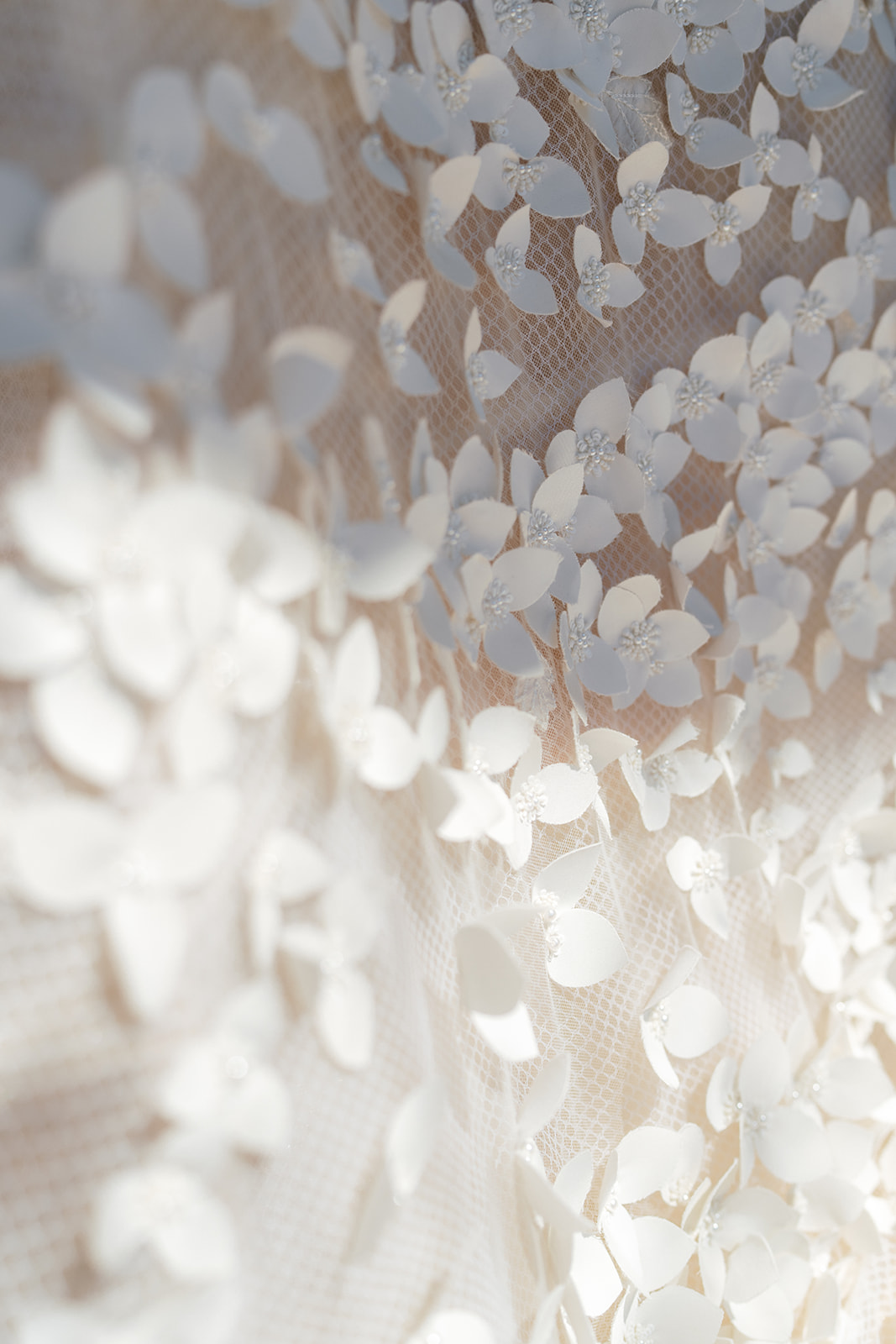 elizabethhall-spring-5612