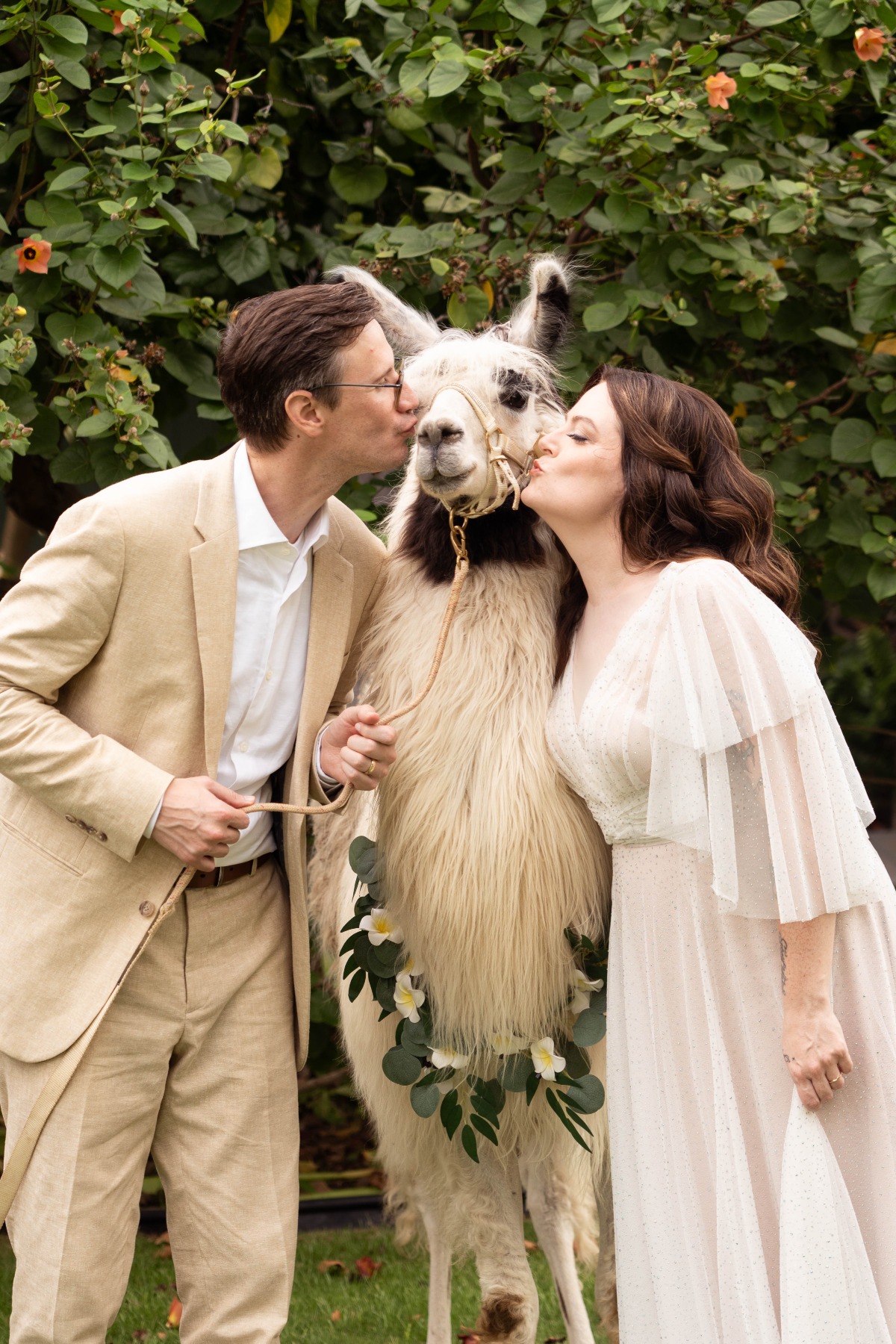 llama at wedding reception