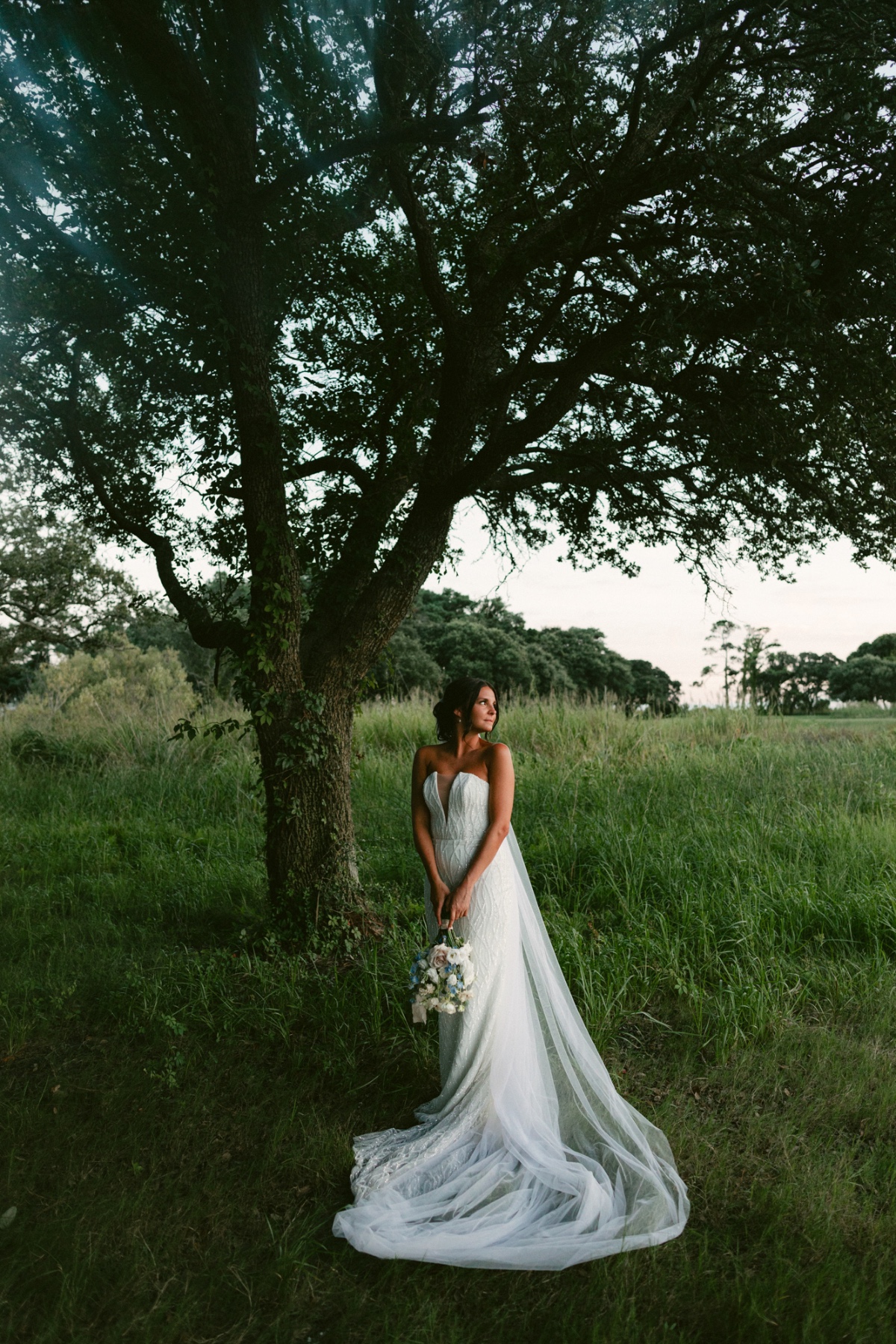 deep v neck wedding dress