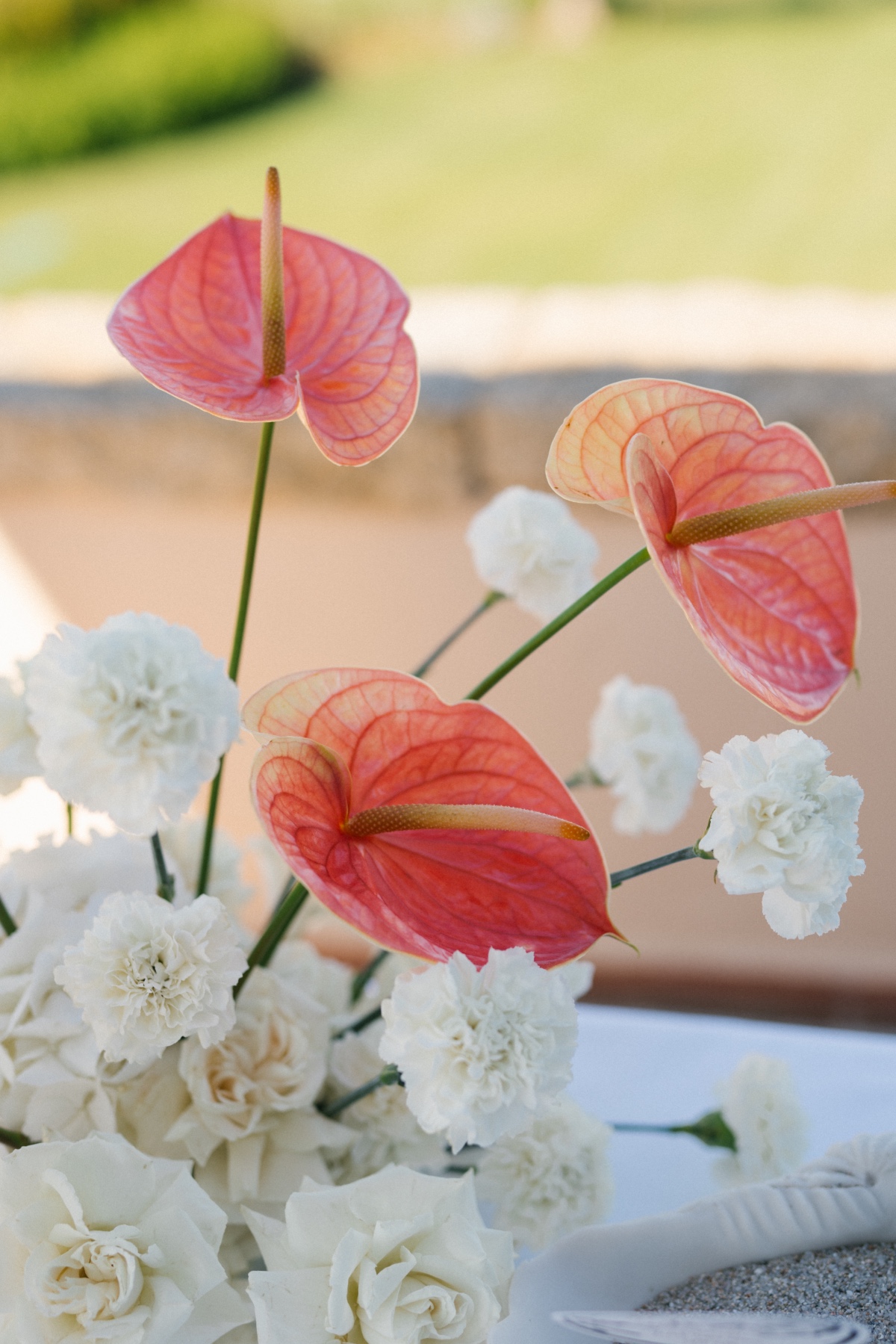 coral and white wedding colors