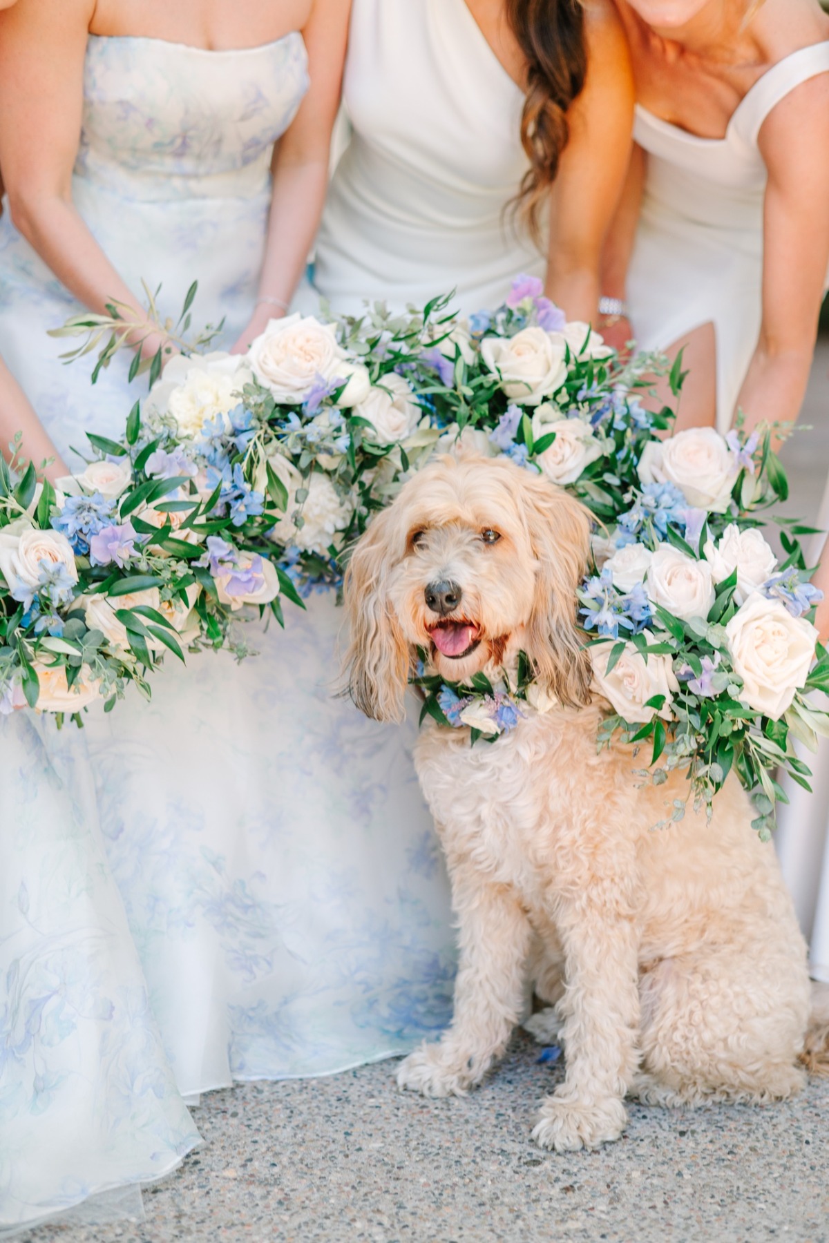 maurajanephotography_0039